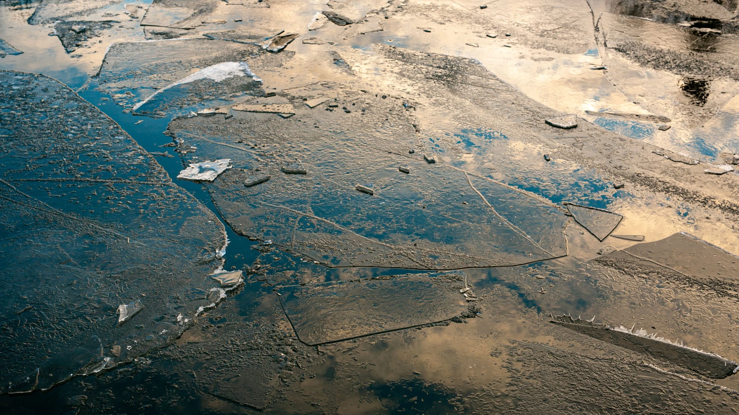 _MG_8560.jpg