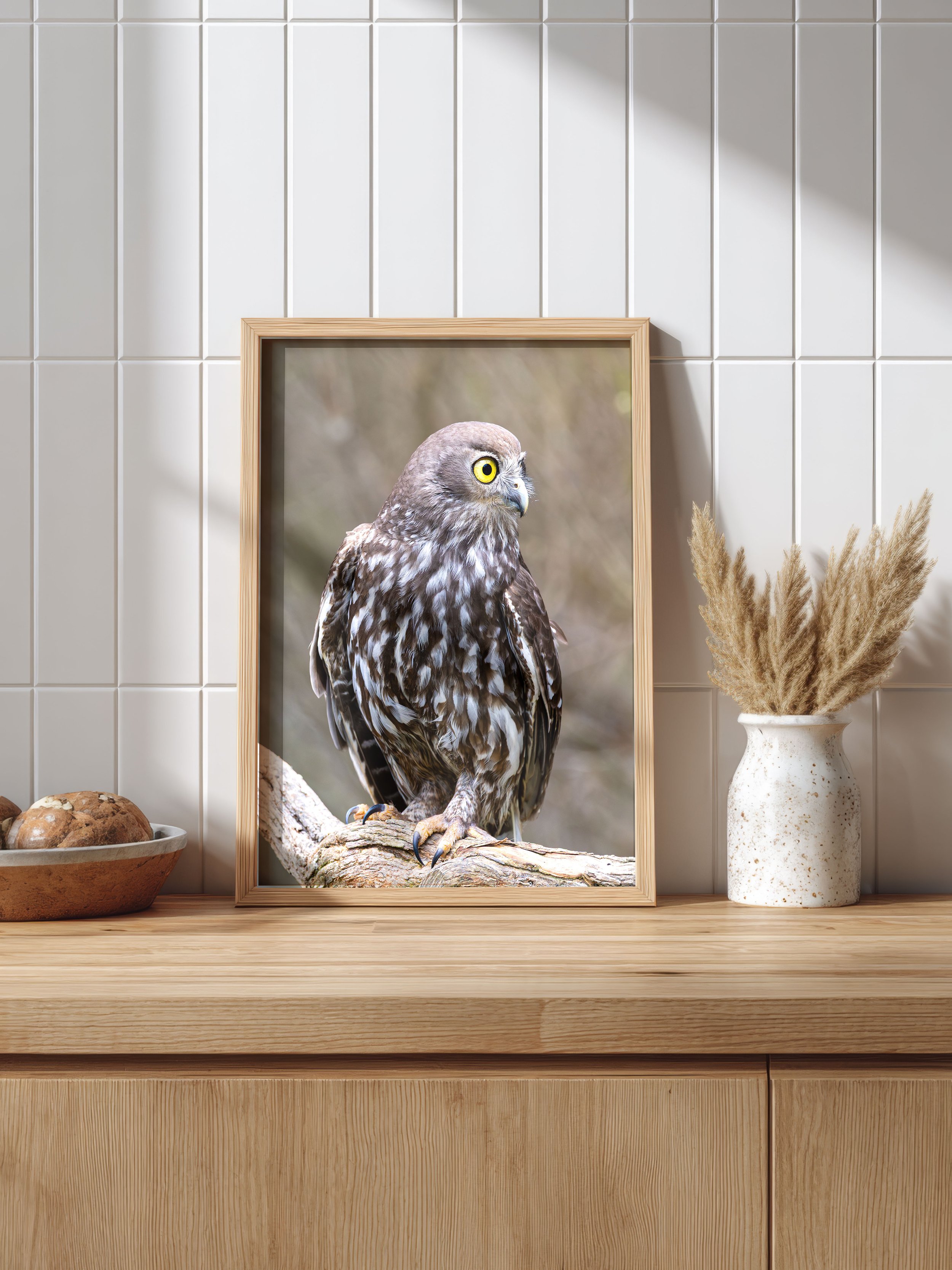 Barking Owl