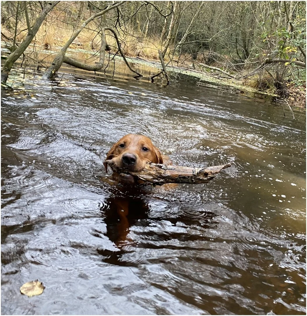 Screenshot 2025-09-10 at 11.08.56.jpg