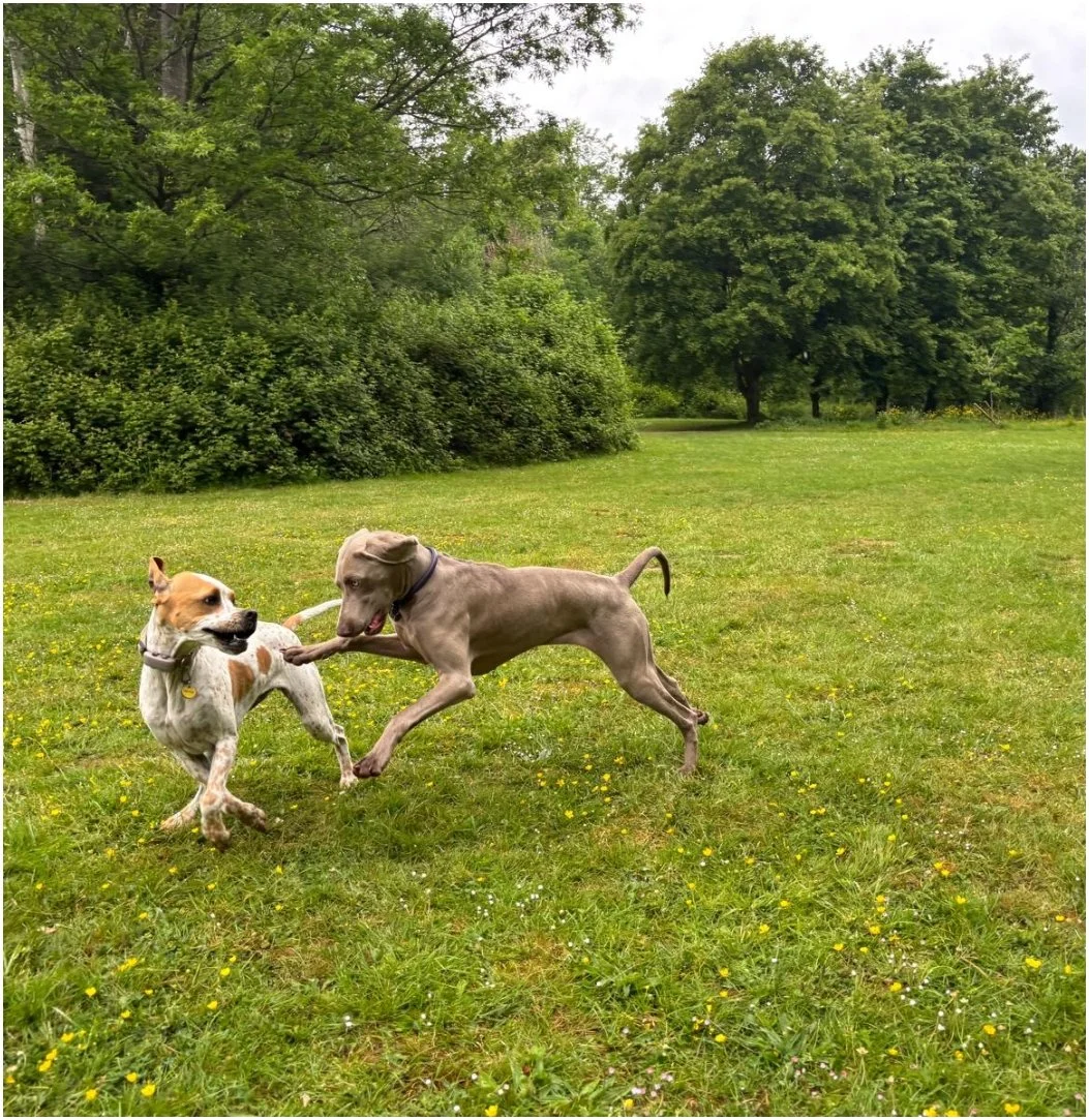 WhatsApp Image 2025-05-21 at 12.09.04_64fa8d7a.jpg