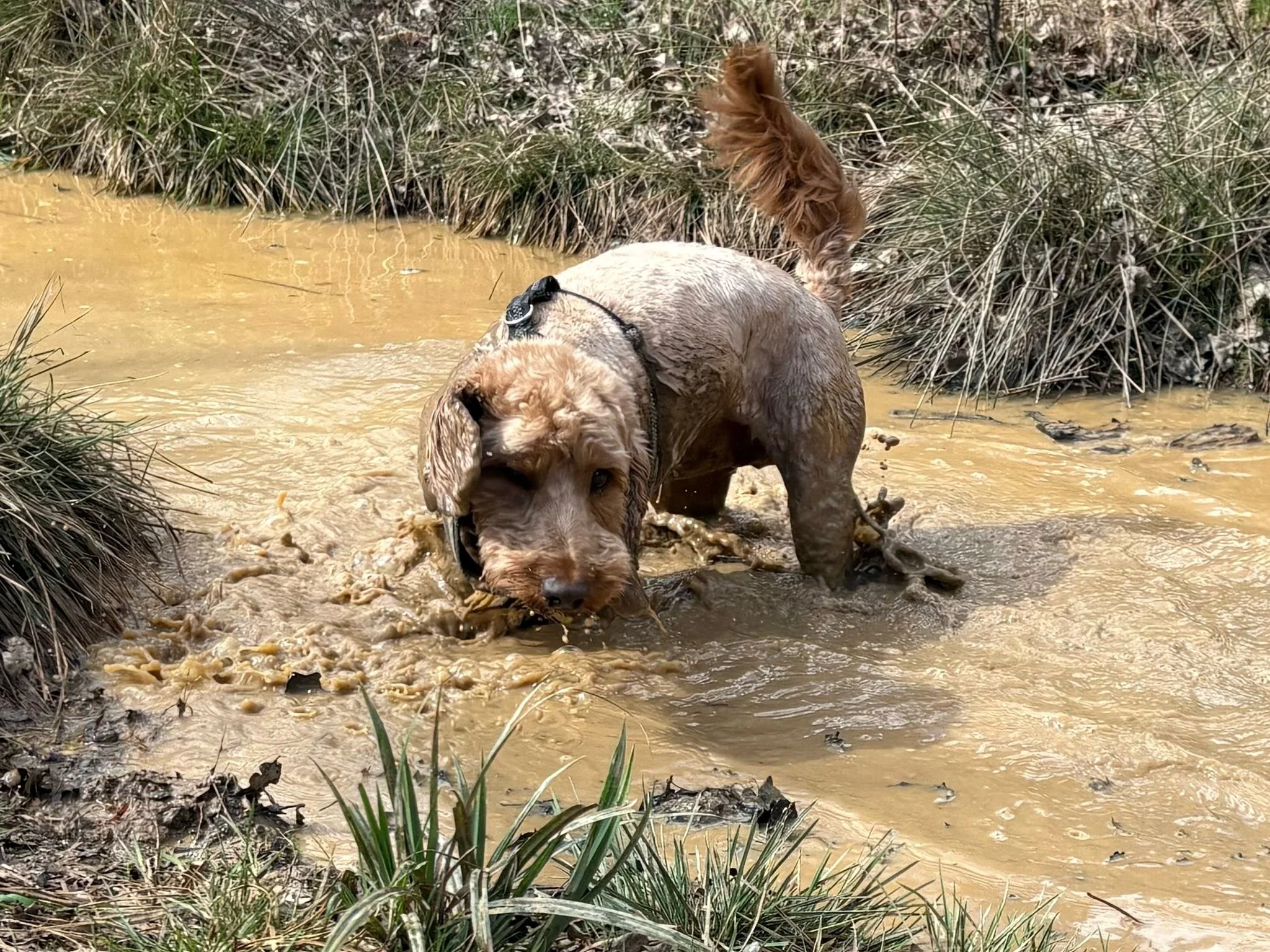 WhatsApp Image 2025-03-28 at 19.23.25_67a1df78.jpg