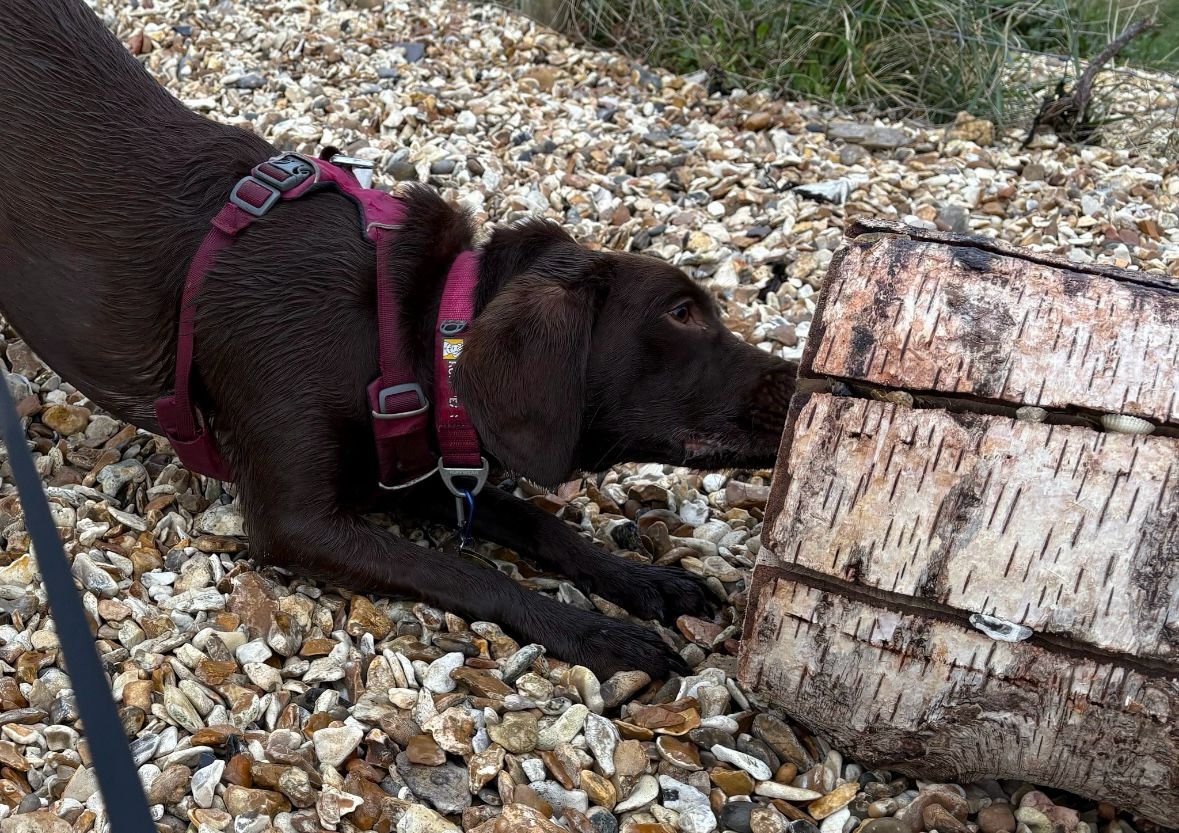 WhatsApp Image 2025-03-28 at 19.24.15_eba51396.jpg