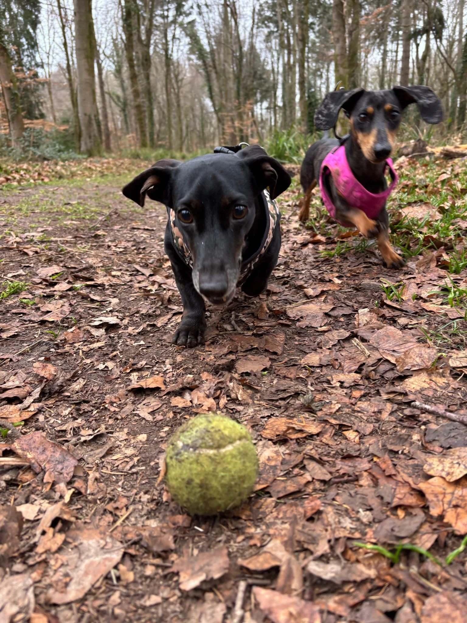 WhatsApp Image 2025-03-28 at 19.29.22_117d9fcc.jpg