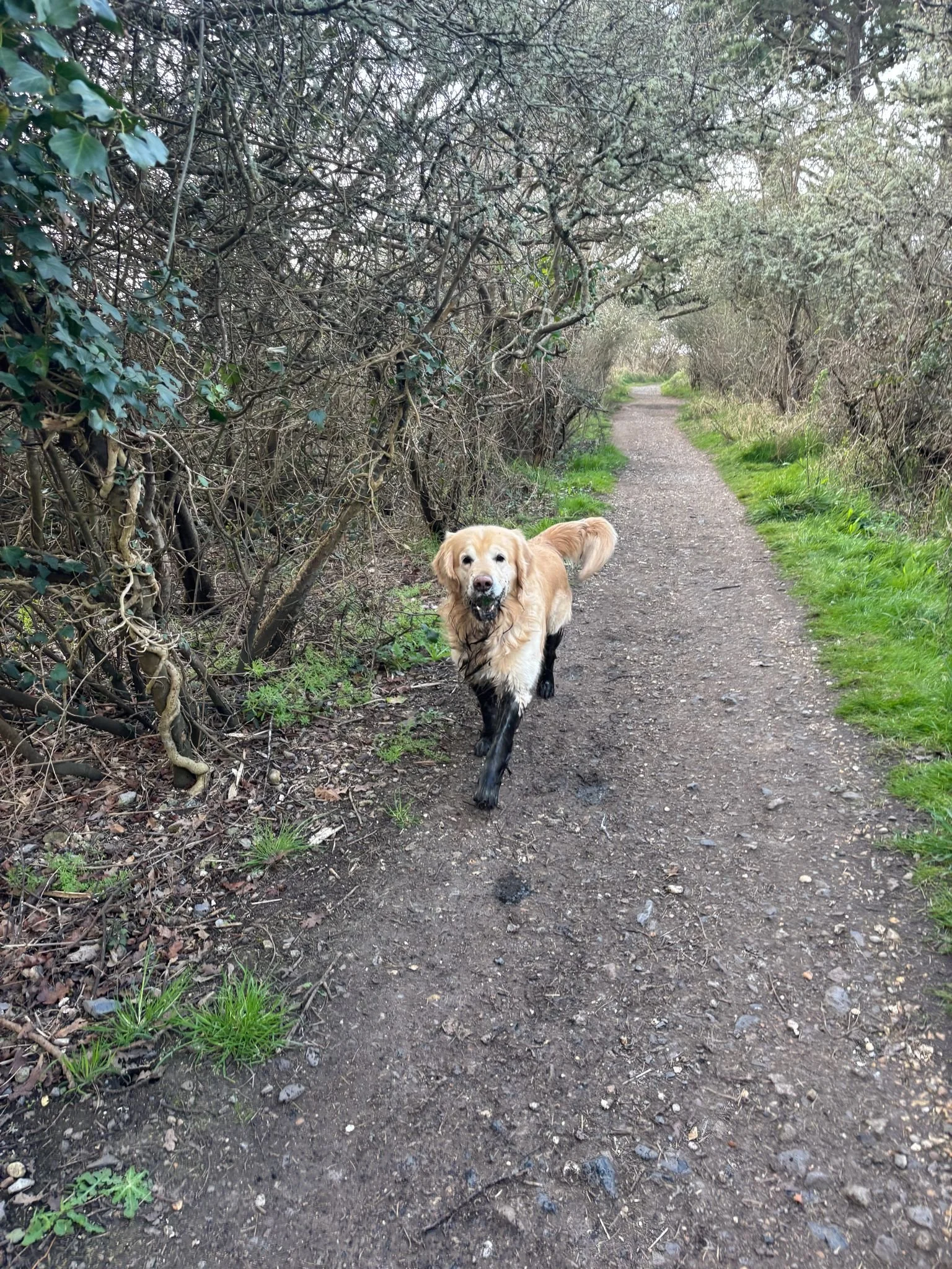 WhatsApp Image 2025-03-29 at 18.21.57_76a0c5bb.jpg