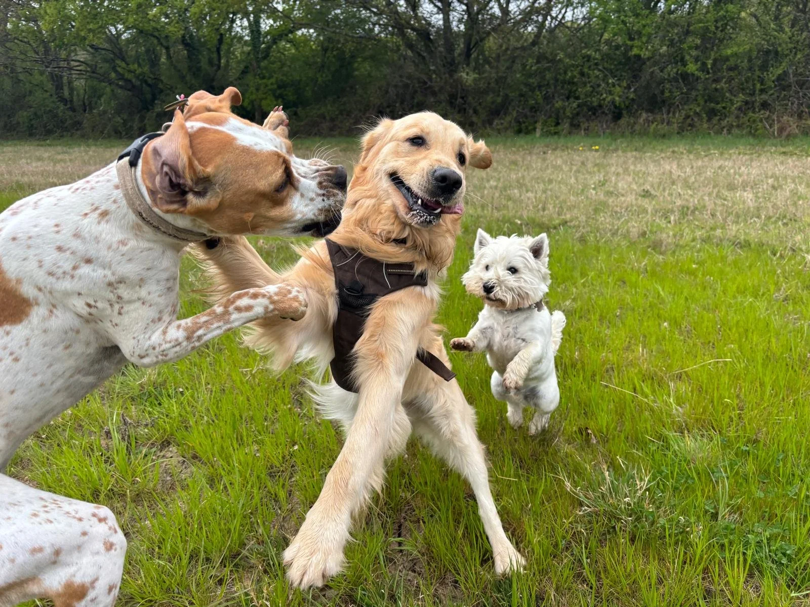 WhatsApp Image 2025-04-15 at 17.59.55_67fe78ad.jpg