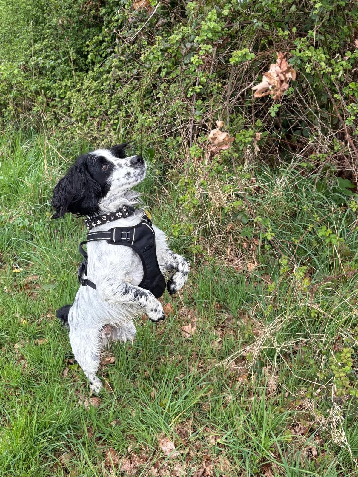 WhatsApp Image 2025-04-18 at 18.01.37_a9615e82.jpg