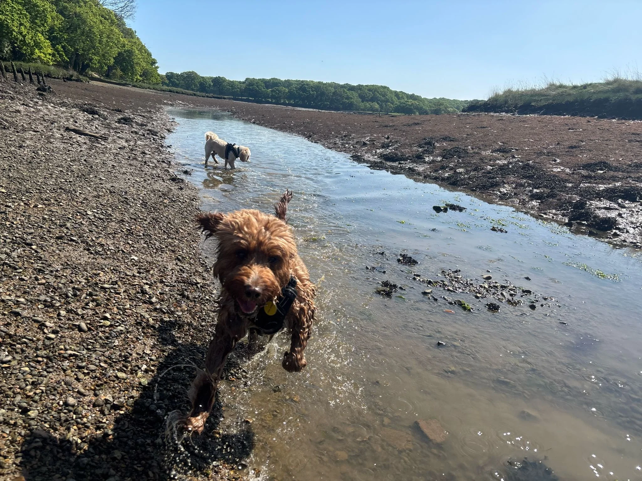 WhatsApp Image 2025-05-01 at 09.22.55_e7c5d312.jpg