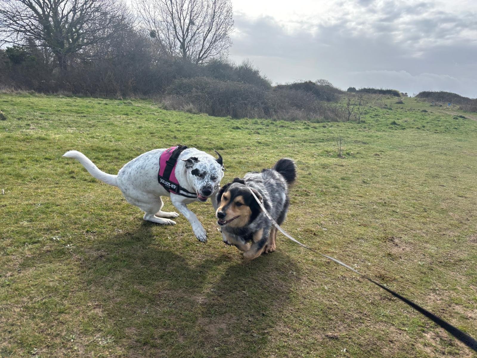 WhatsApp Image 2025-03-28 at 12.12.56_4147ec32.jpg