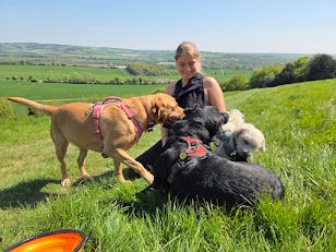 Madison, dog walker, with Holty Paws client dogs at Beacon Hill in Hampshire