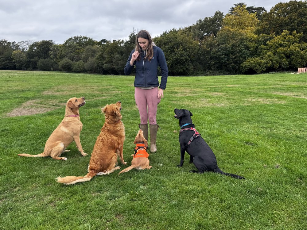 Maja with dogs