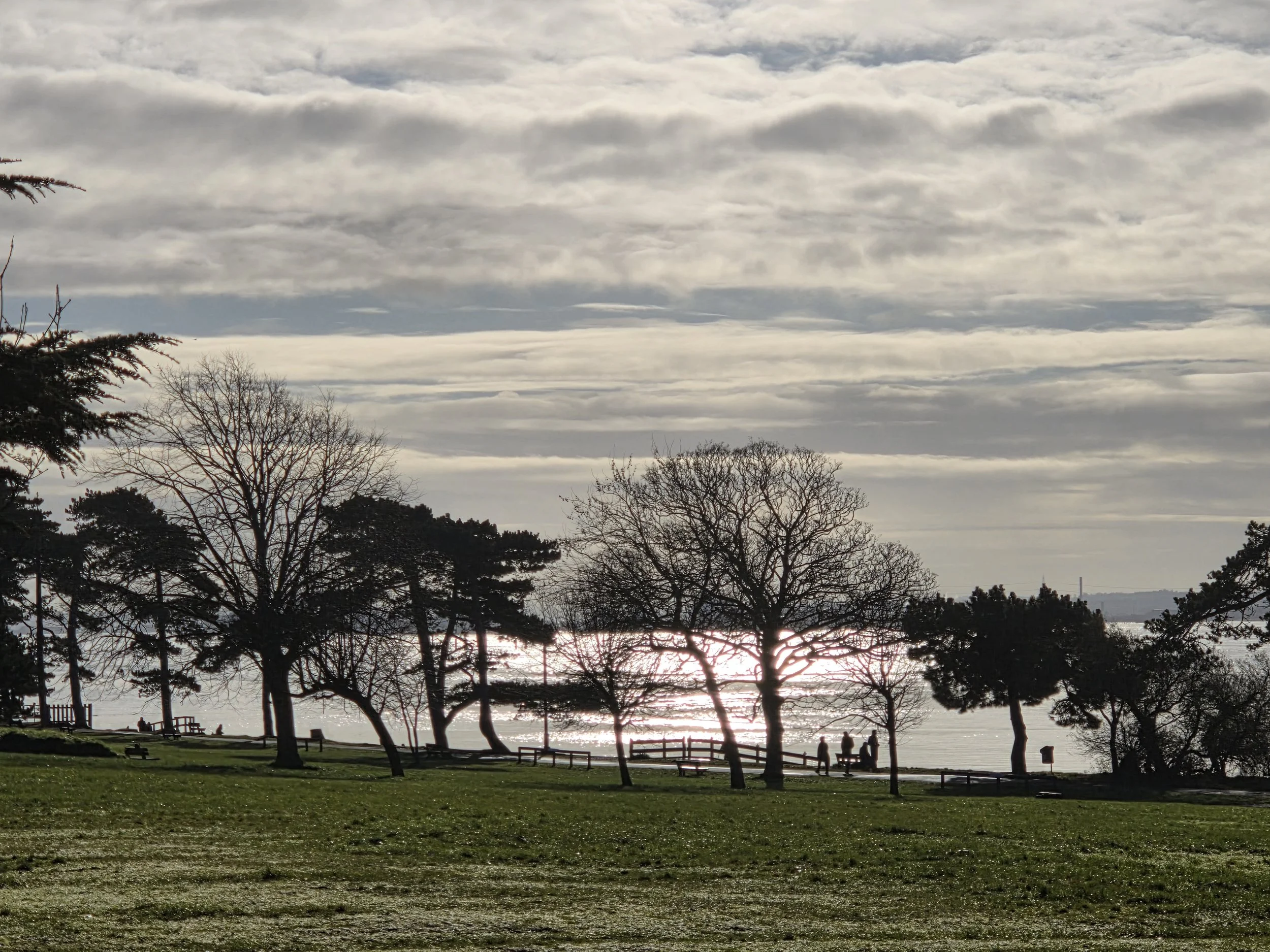 Royal Victoria Country Park, early morning dew on a grassy field leading down to the shoreline of Southampton Water and trees
