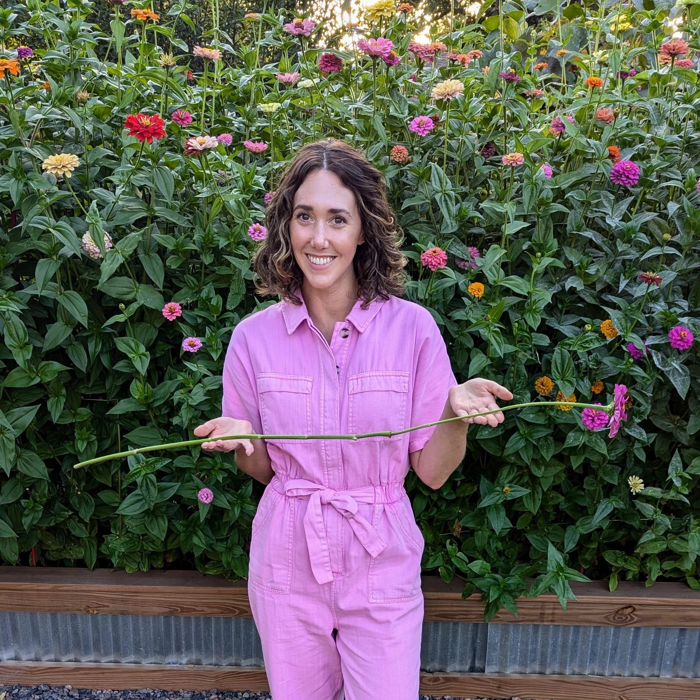 The Cut-Flower Gardener's Guide to Growing Tall Zinnias