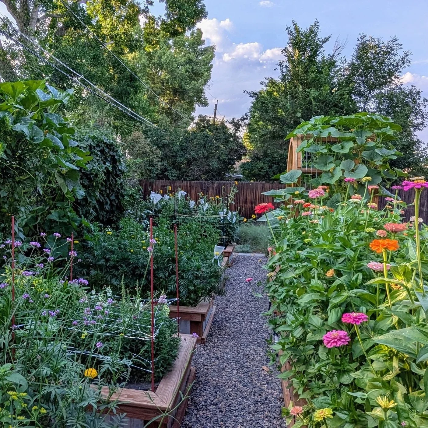 Frequently Asked Questions (FAQ)