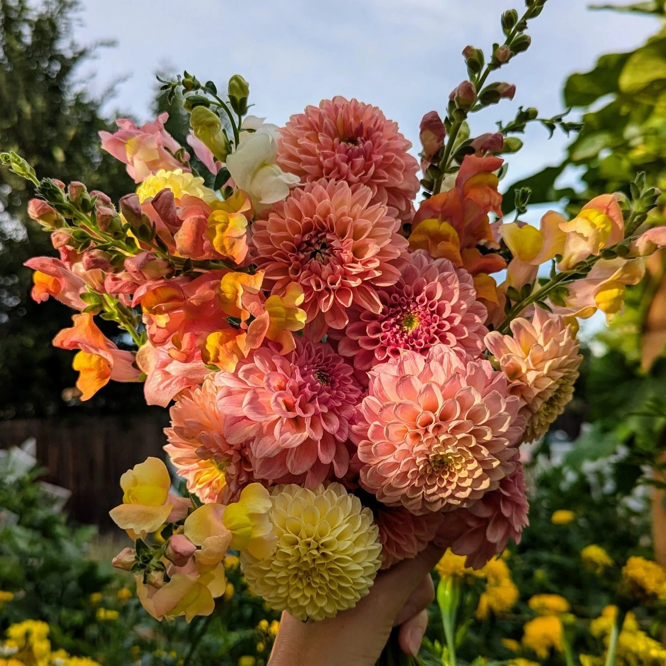 Little Lapin Garden in the News