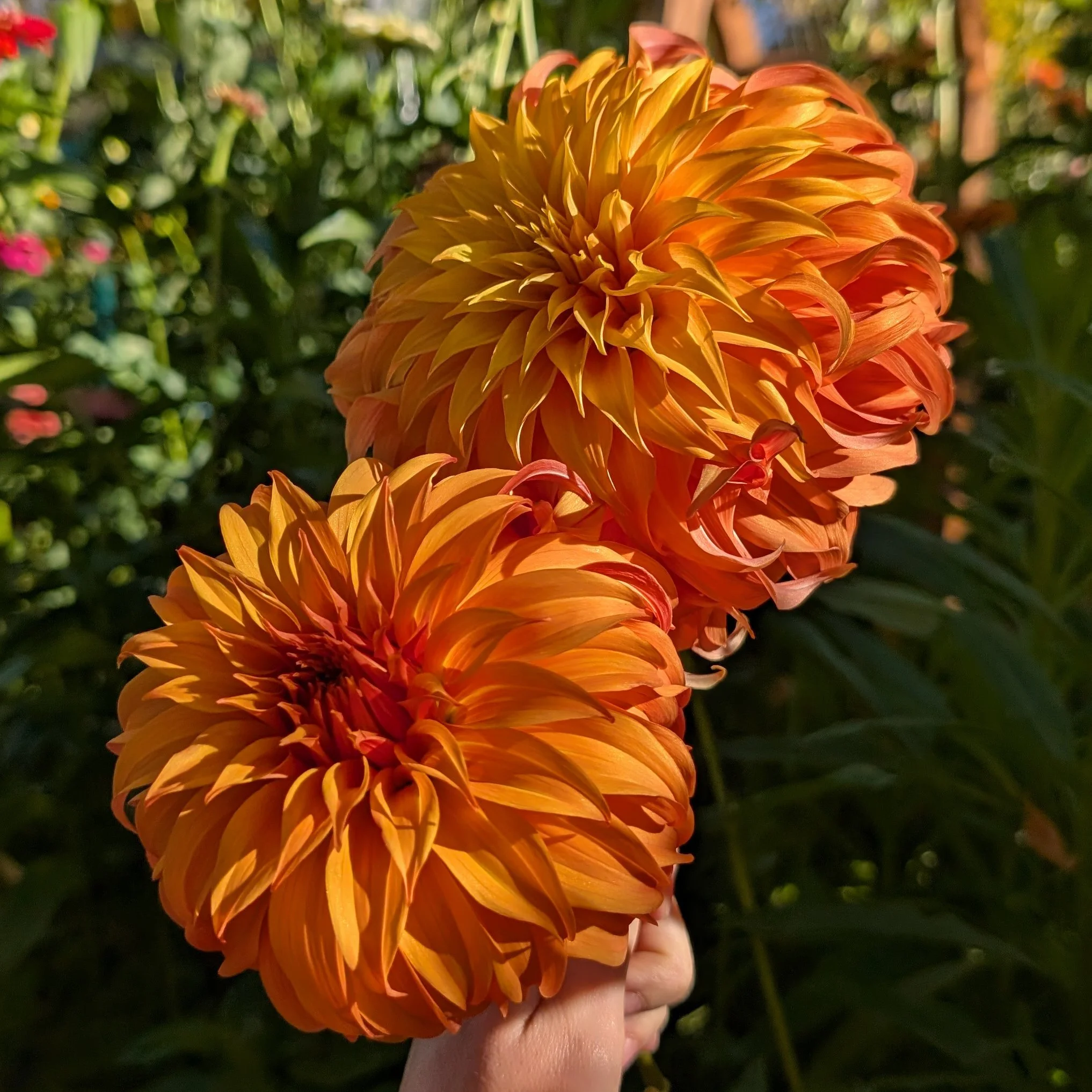 Bloomquist Jean-6.jpg