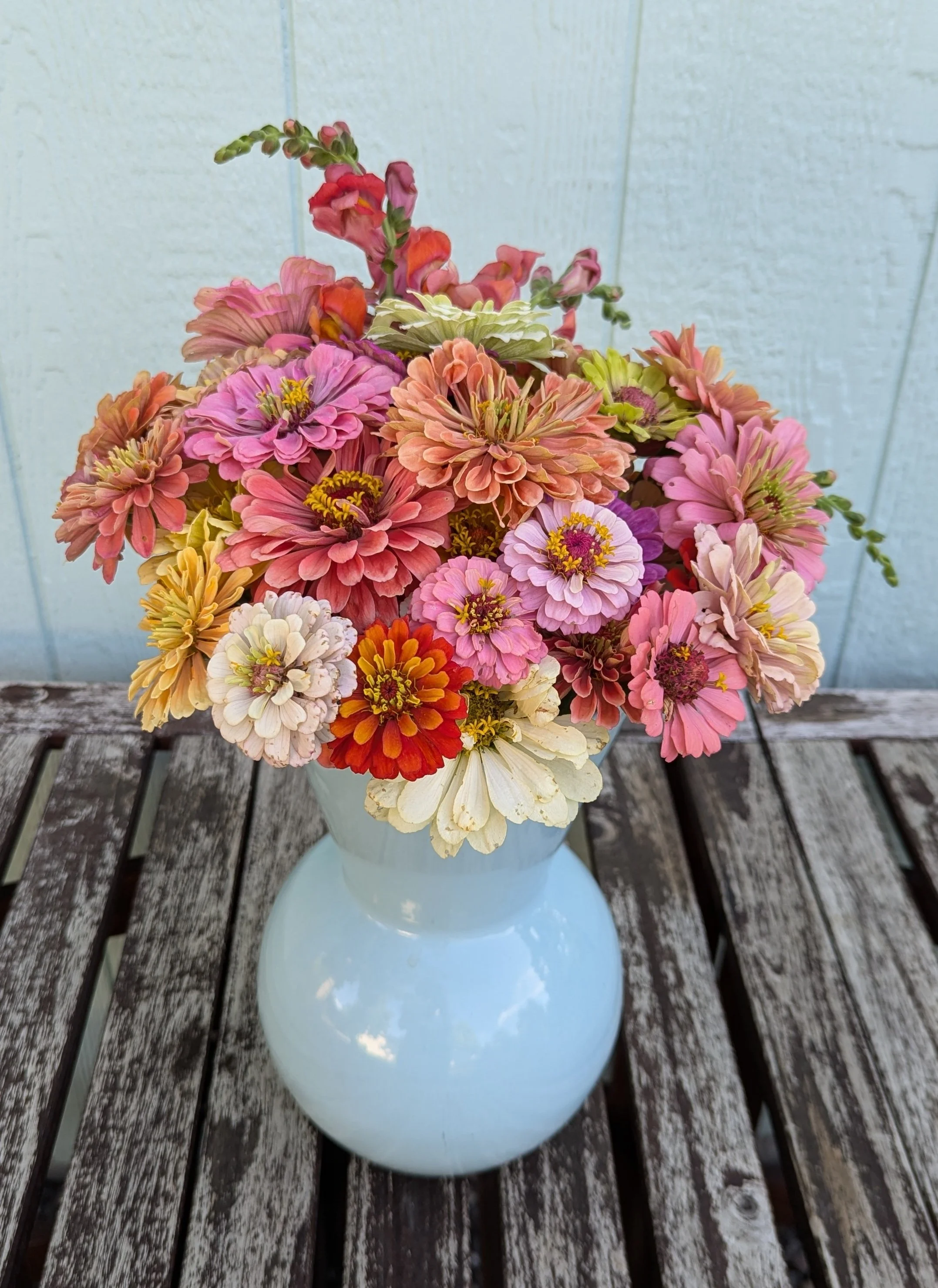 Colorful bouquet of pink, orange, yellow, and white flowers in a white vase on a rustic wooden table, with a light blue wall in the background.