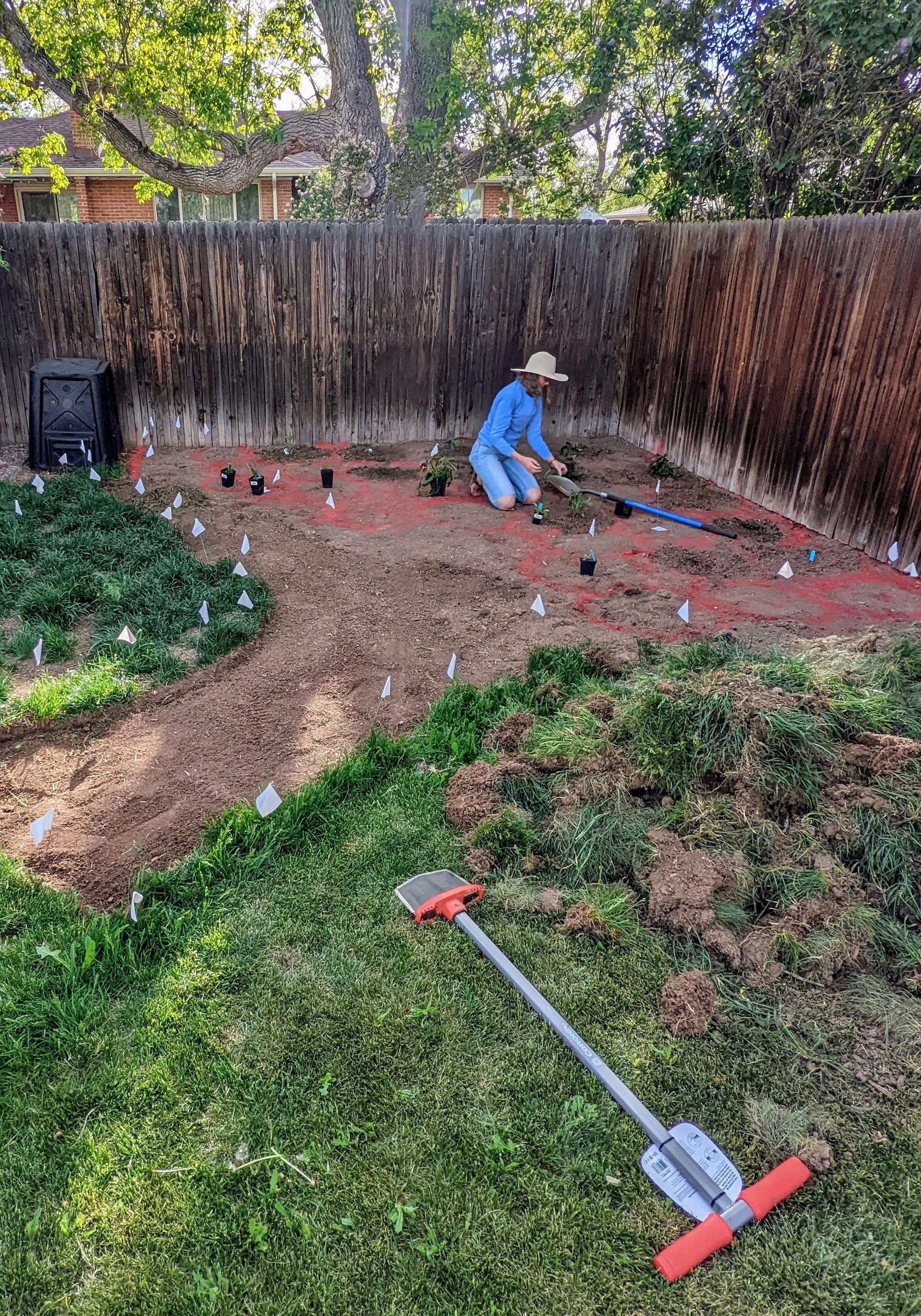 Person planting young plants in a garden with markers, using gardening tools, next to a wooden fence and a large tree, with a lawnmower on the grass.