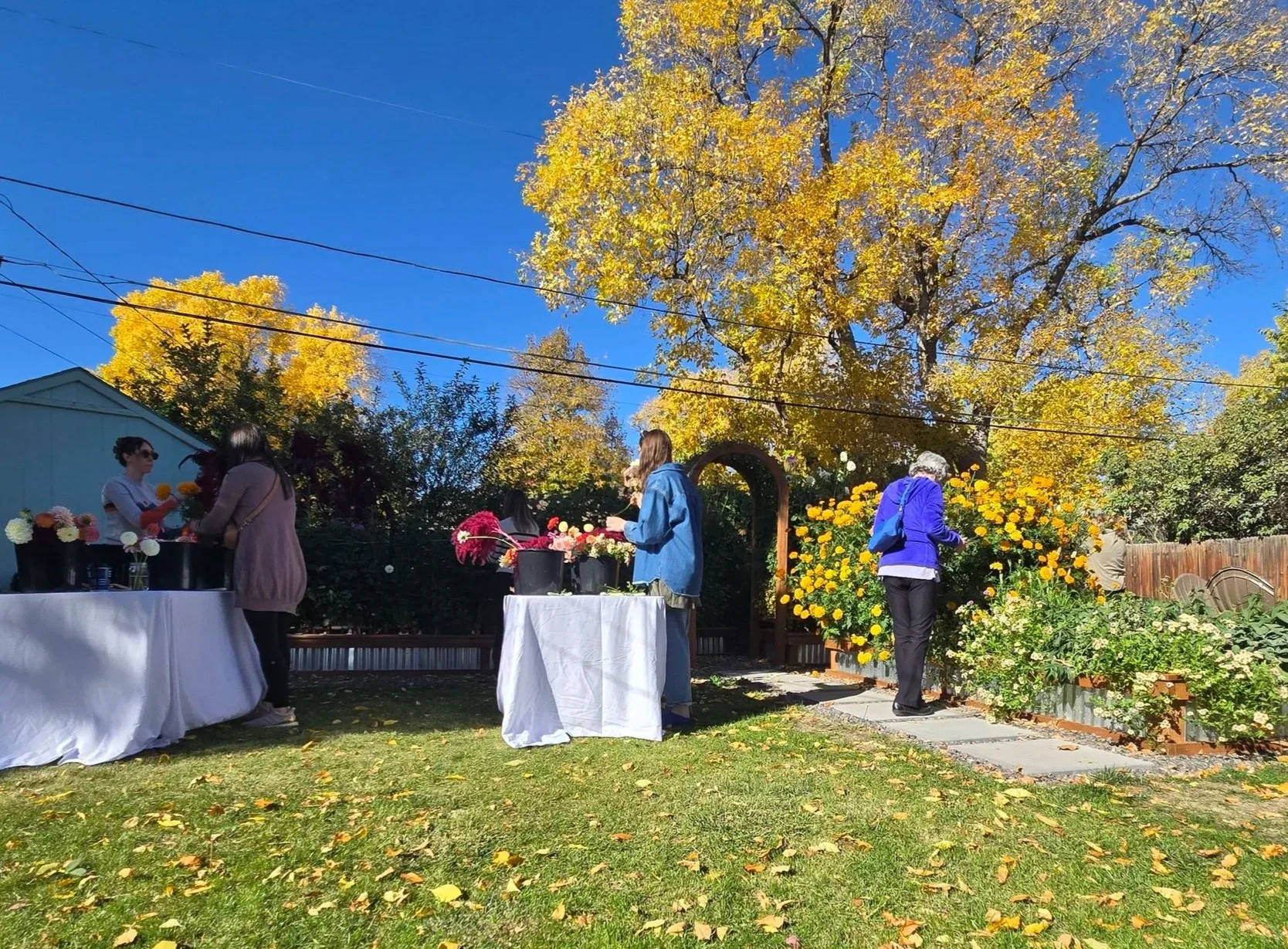 People setting up flower arrangements at tables outdoors on a sunny autumn day, with yellow and orange trees in the background and a clear blue sky.