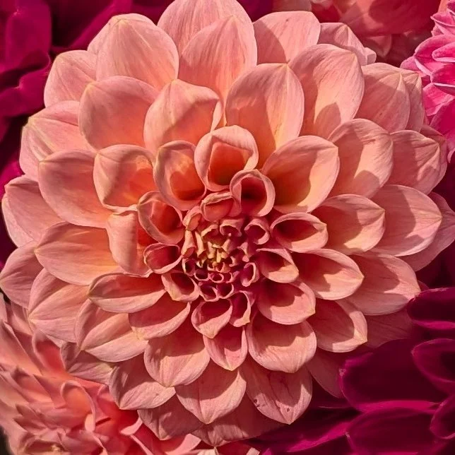 Rock Run Ashley-2.jpg