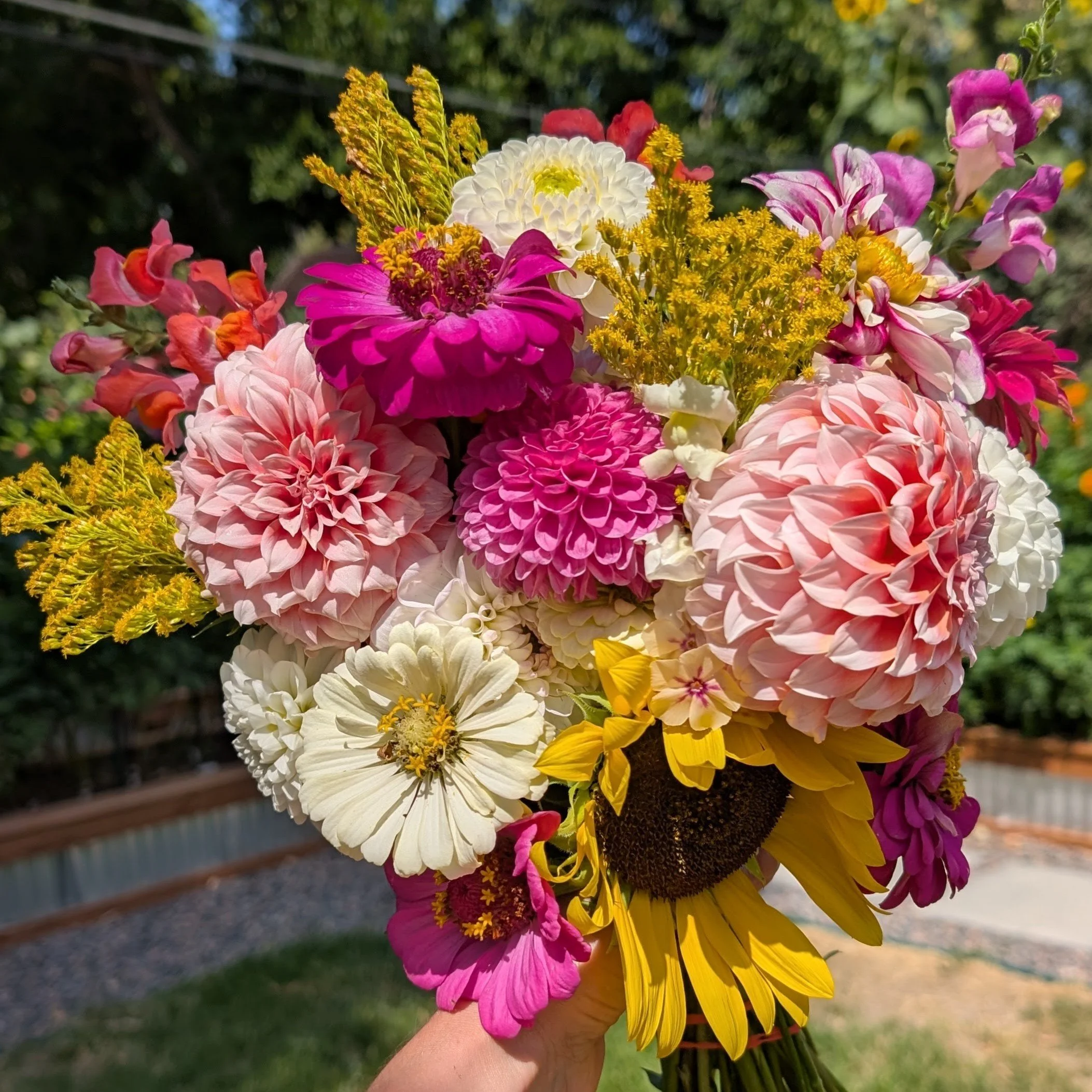 Cropped_Image (19).jpeg