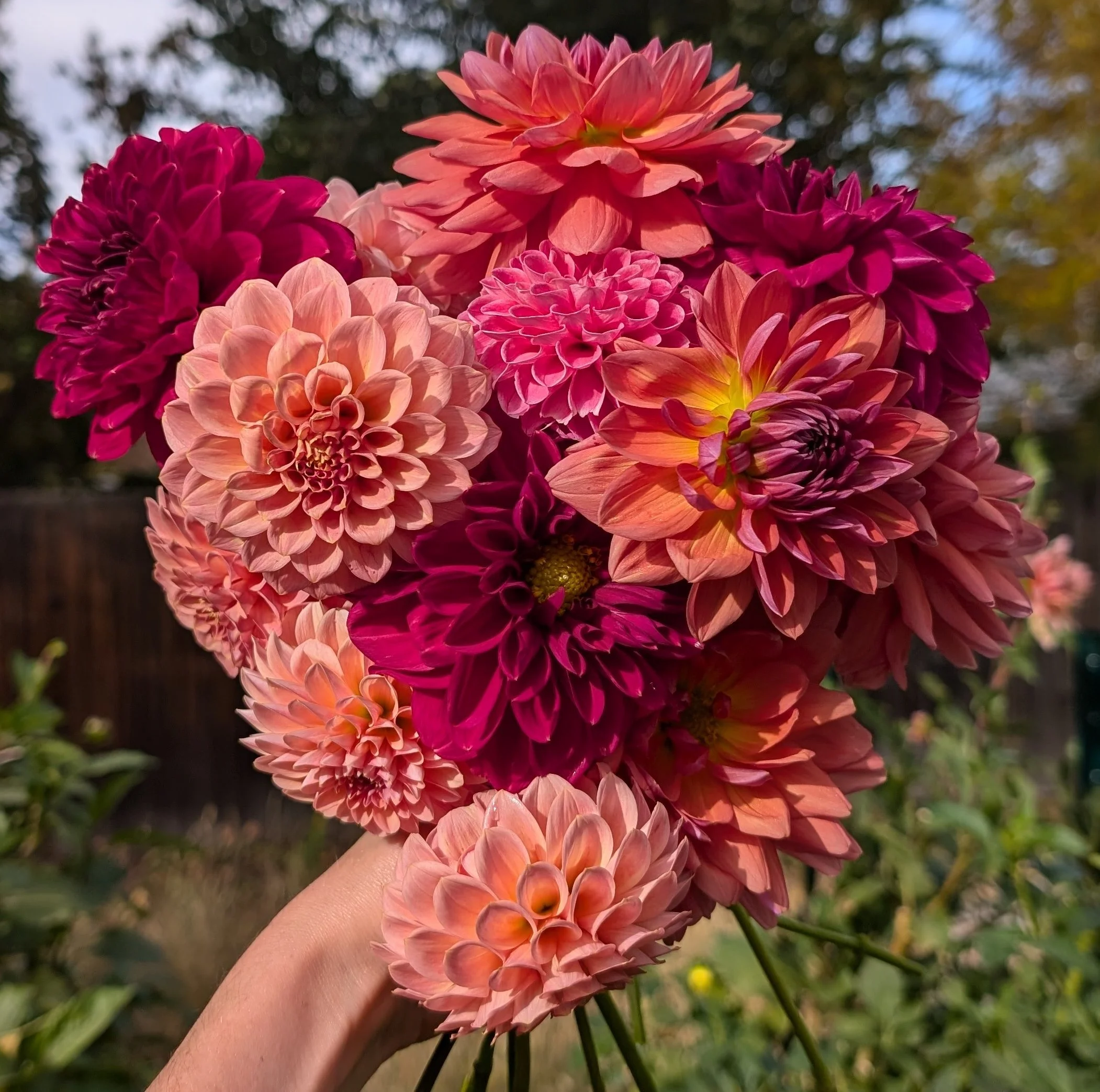 Cropped_Image (16).jpg