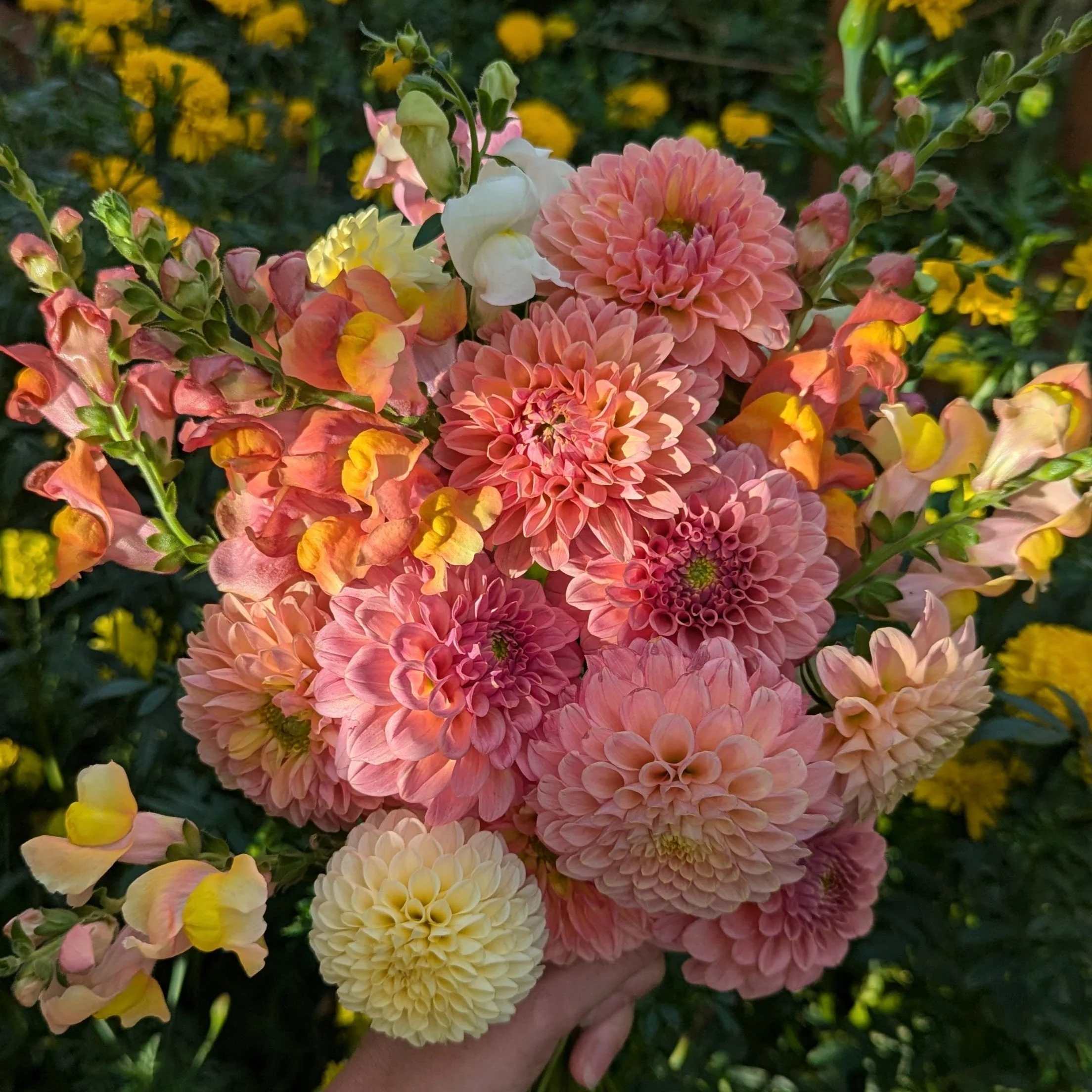 Cropped_Image (12).jpeg