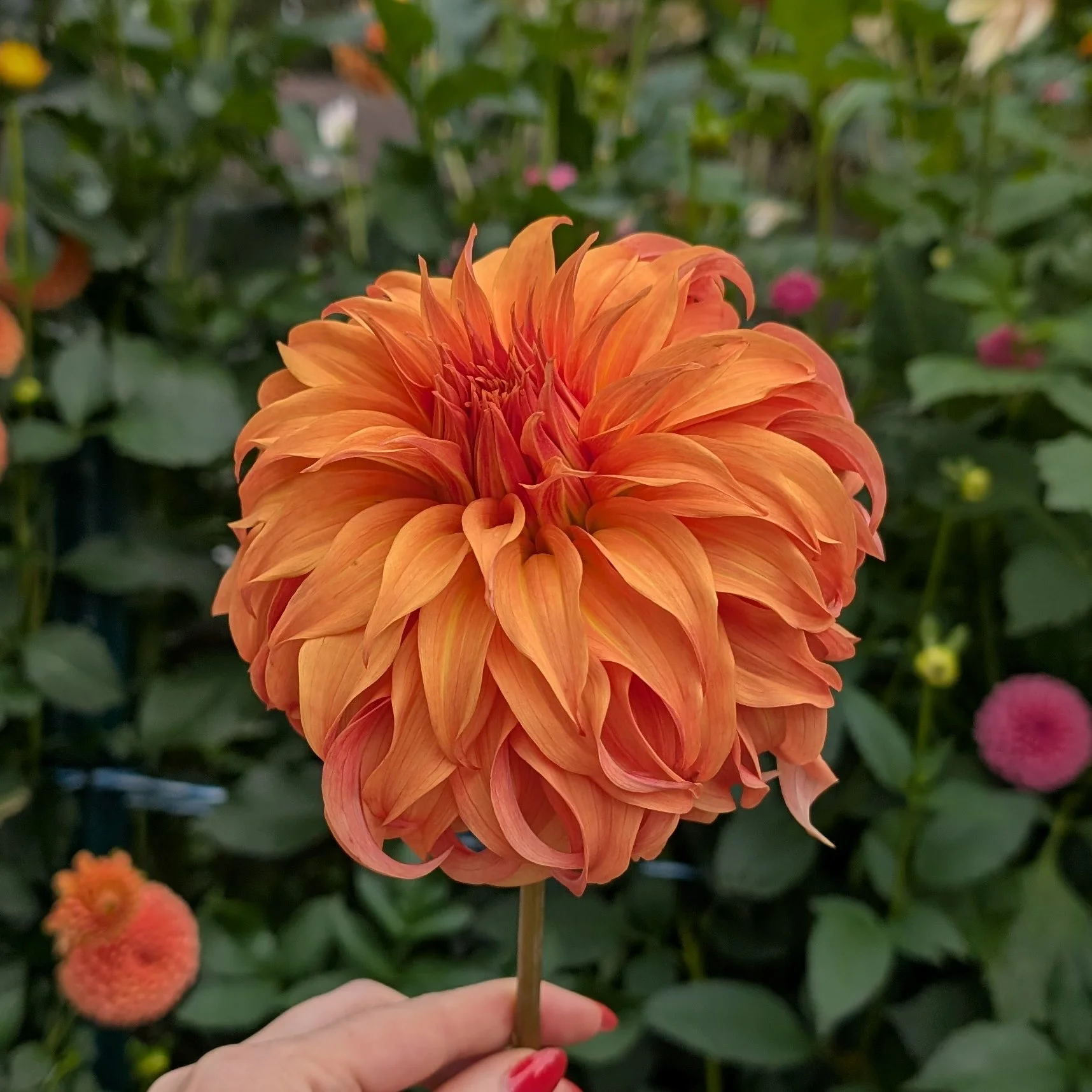 Bloomquist Jean-2.jpg