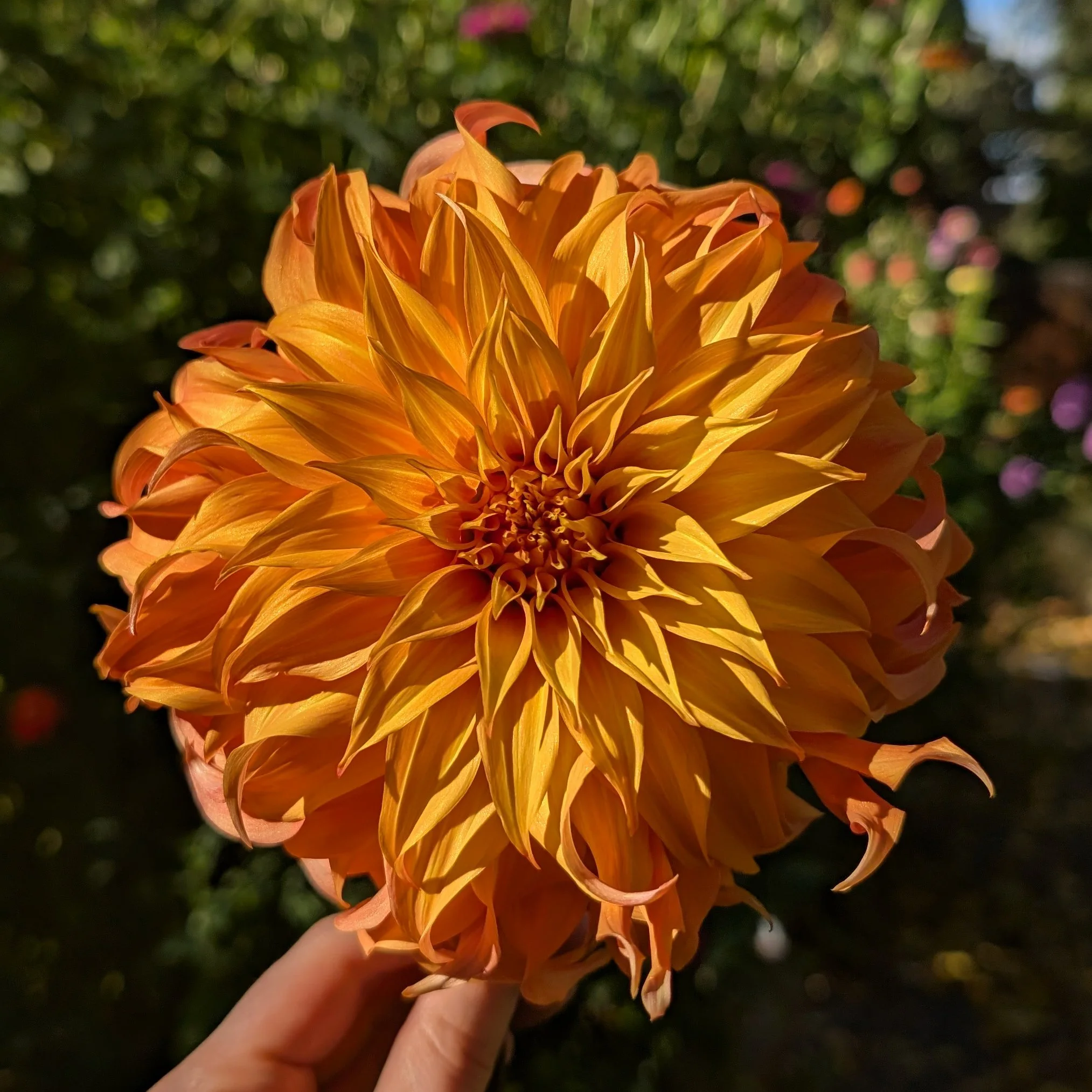 Bloomquist Jean-5.jpg