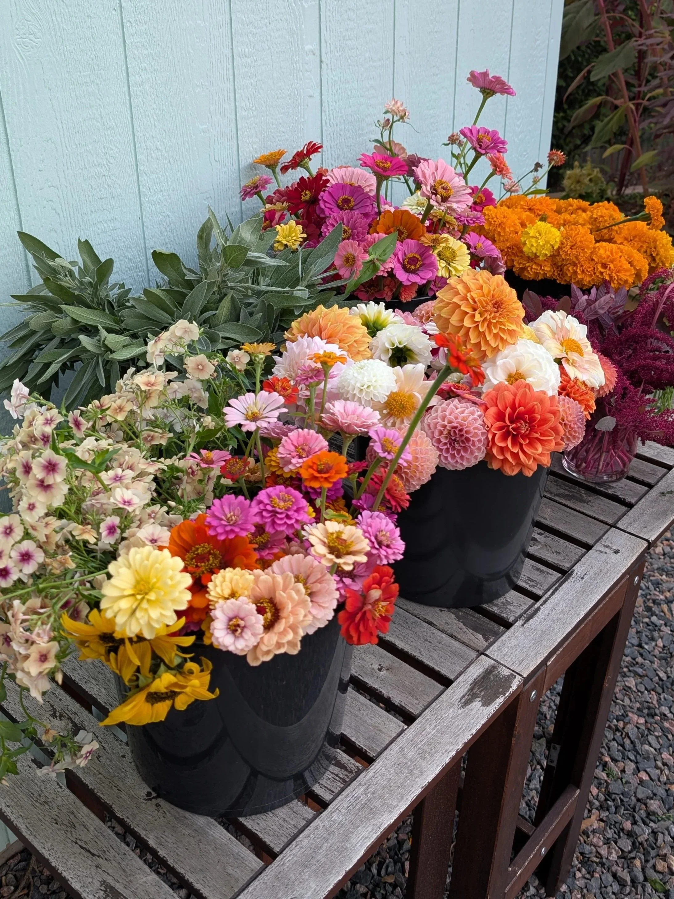 Colorful pots of blooming flowers on a wooden table outdoors.