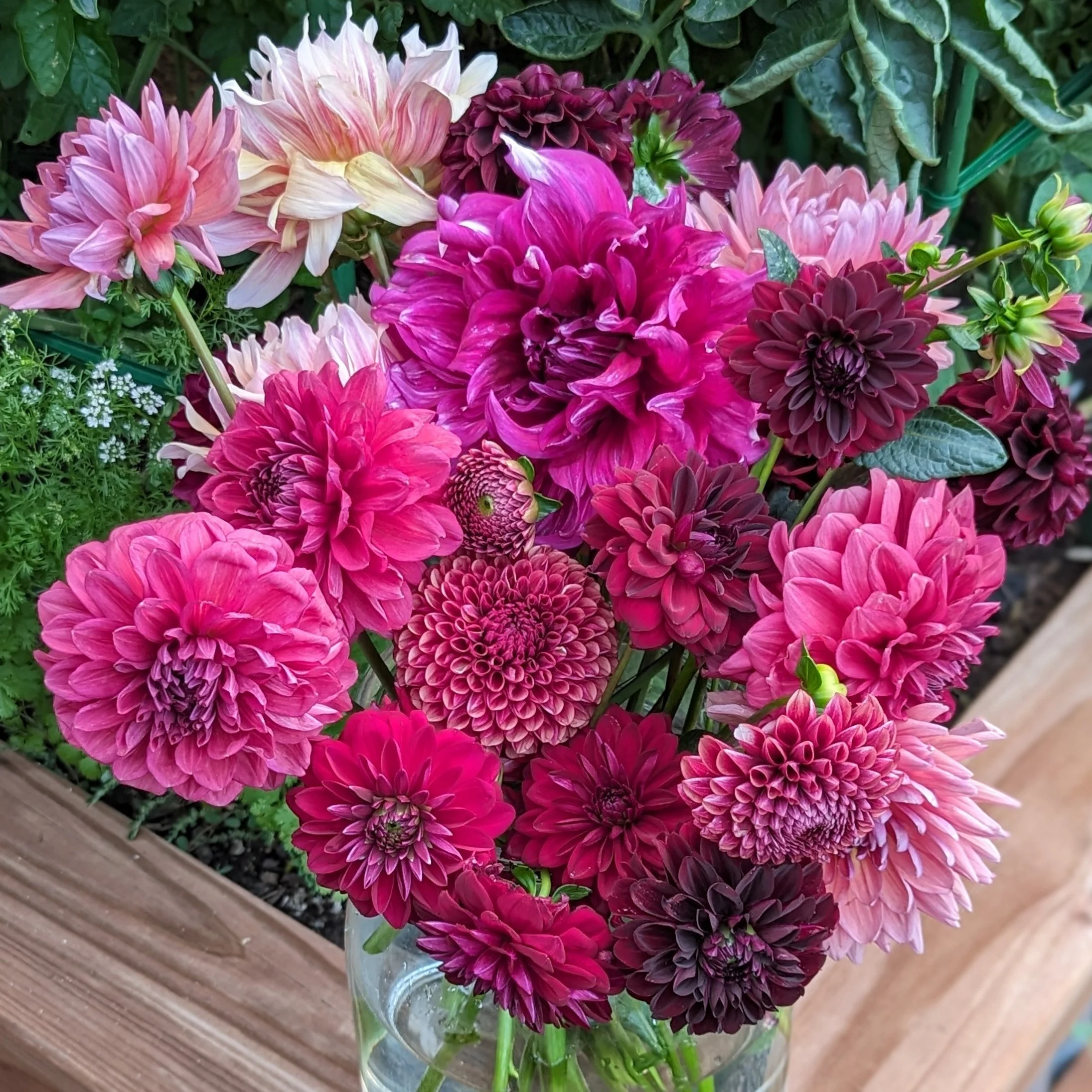 Cropped_Image (1).jpg