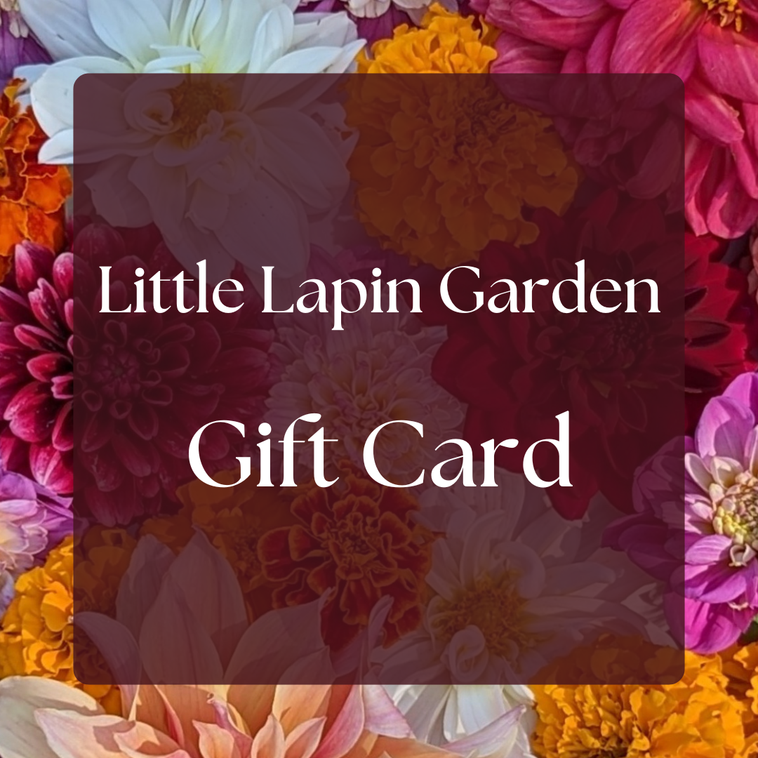 Little Lapin Garden Gift Card