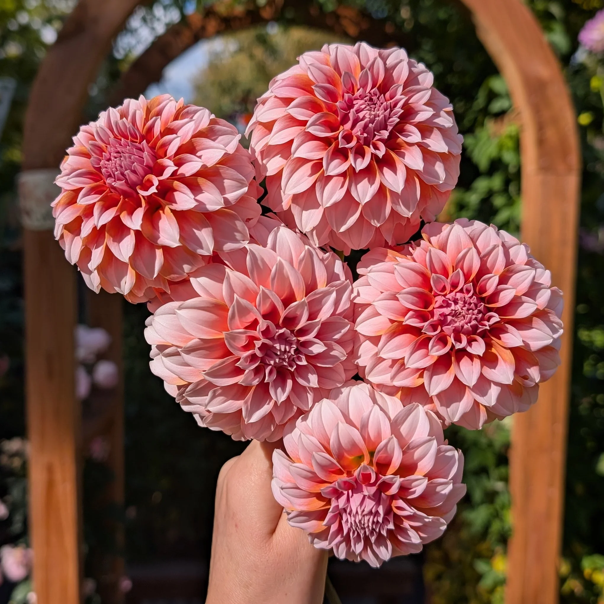 Peaches N Cream-5.jpg