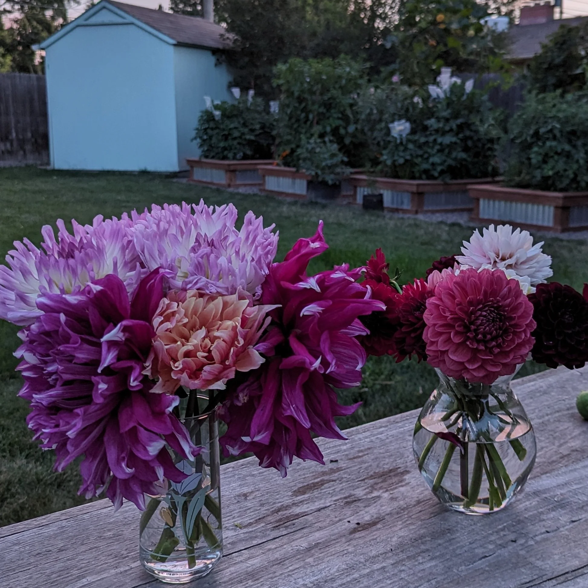 Cropped_Image (5).jpg