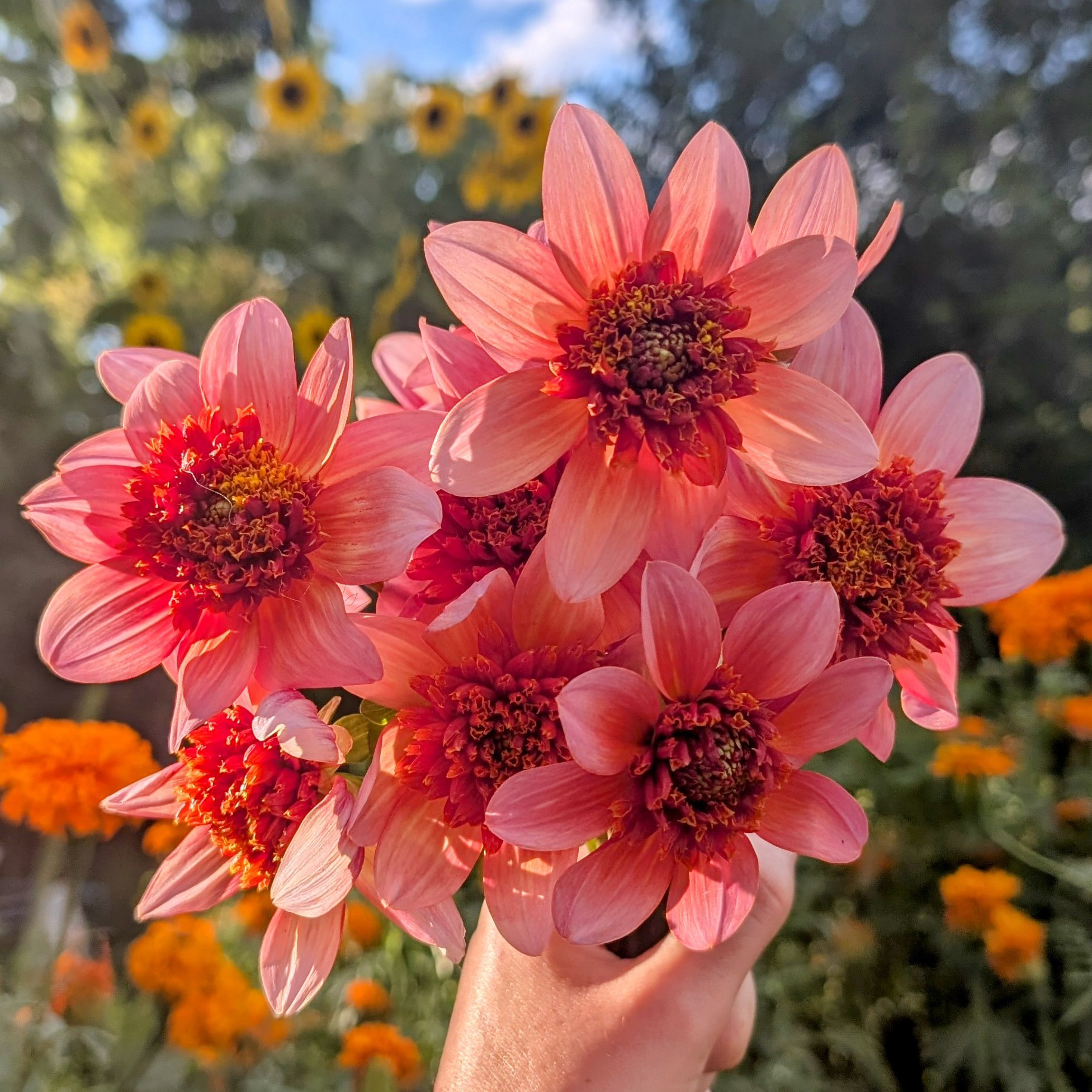 Totally Tangerine-3.jpg