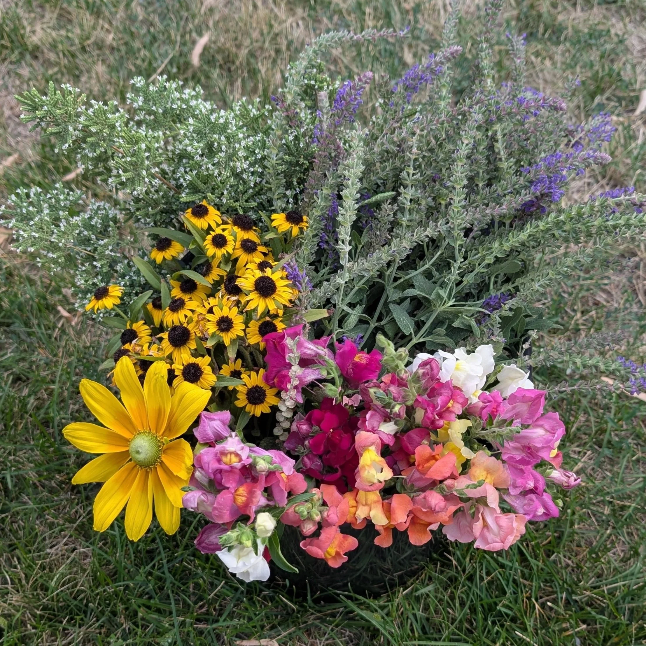 PXL_20250817_004512743.jpg