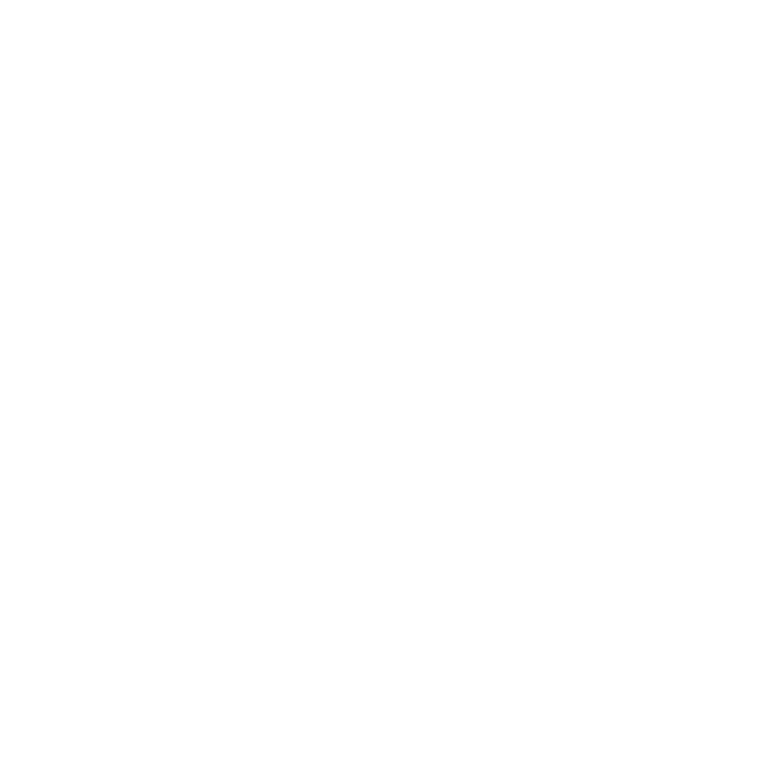 NPS Security icon
