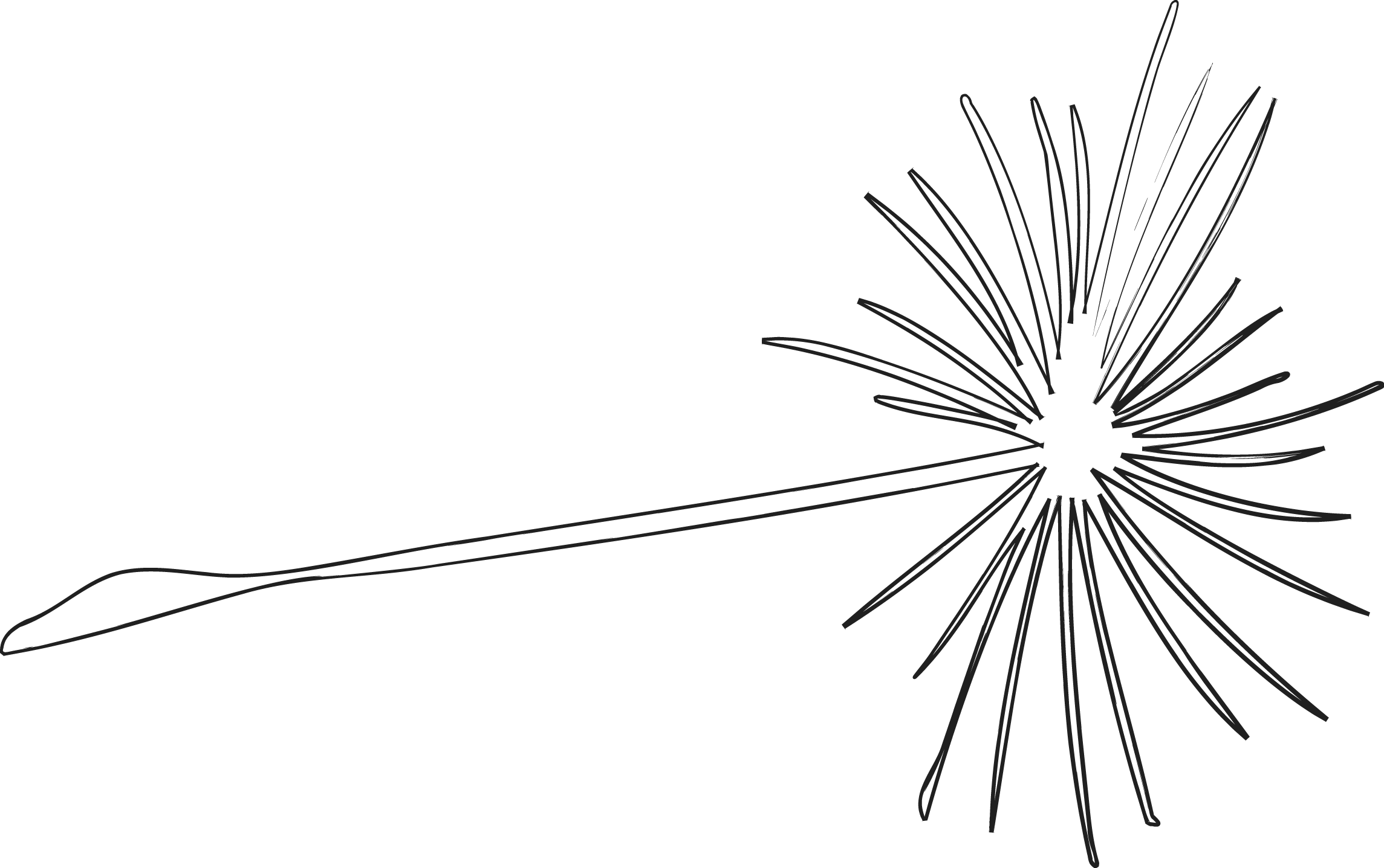Leichtigkeit durch Neurodivergenz Coaching für ADHS, Autismus, AuDHS und Hochbegabung.