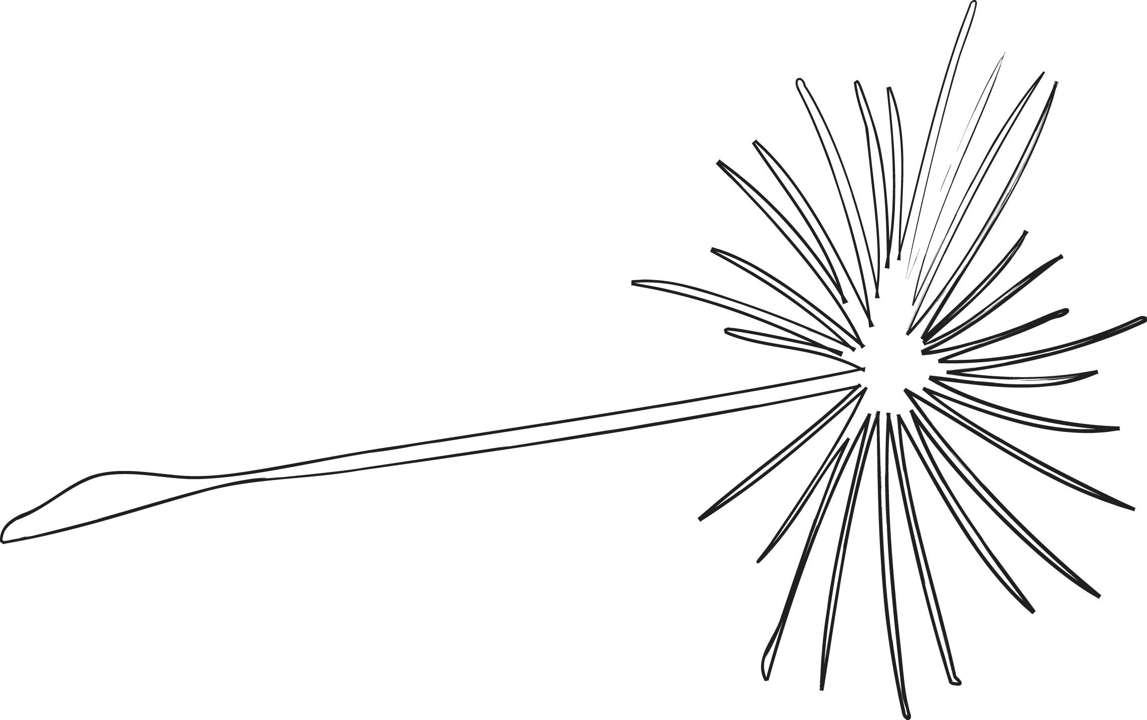 Linienzeichnung eines Samens einer Pusteblume.