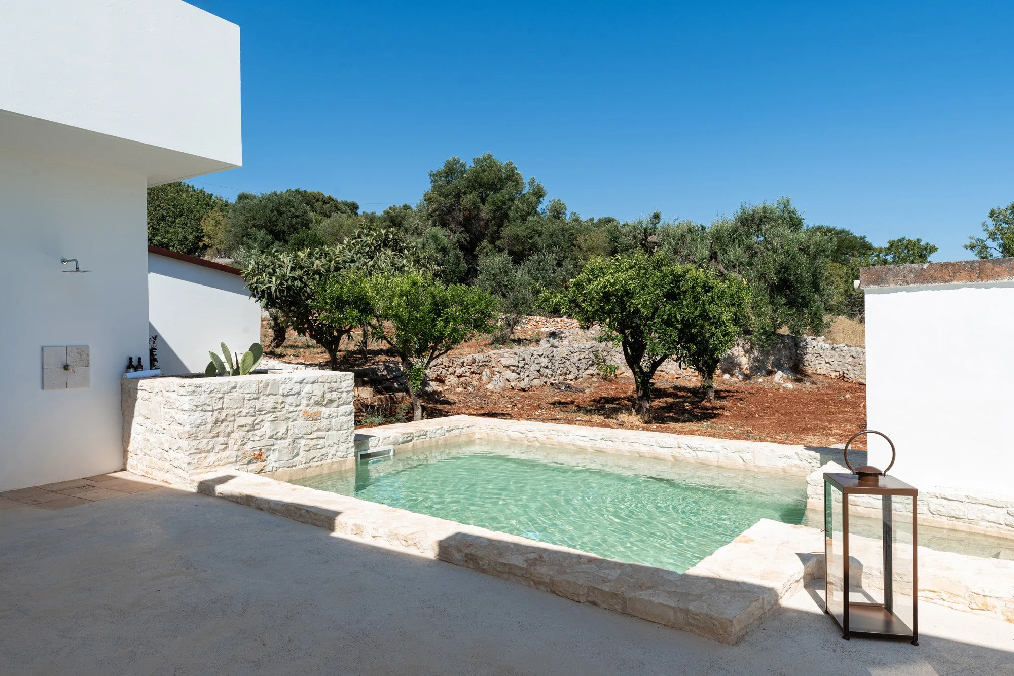 Modern outdoor patio with a small rectangular swimming pool, surrounded by white stone edging, located next to a white building with a shower and bottles, with green trees and a clear blue sky in the background.