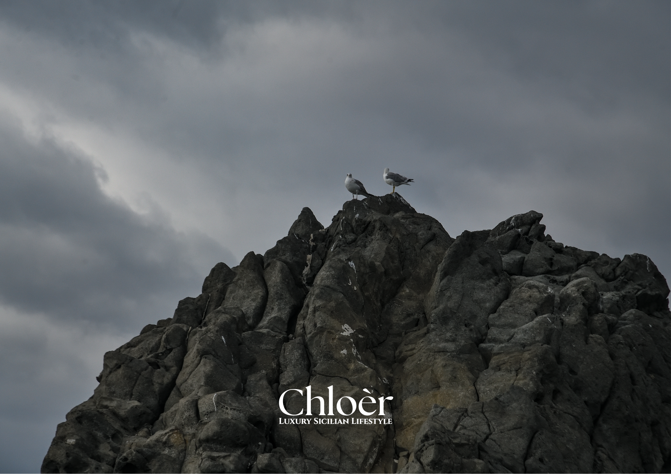 Progetto senza titolo(53).png