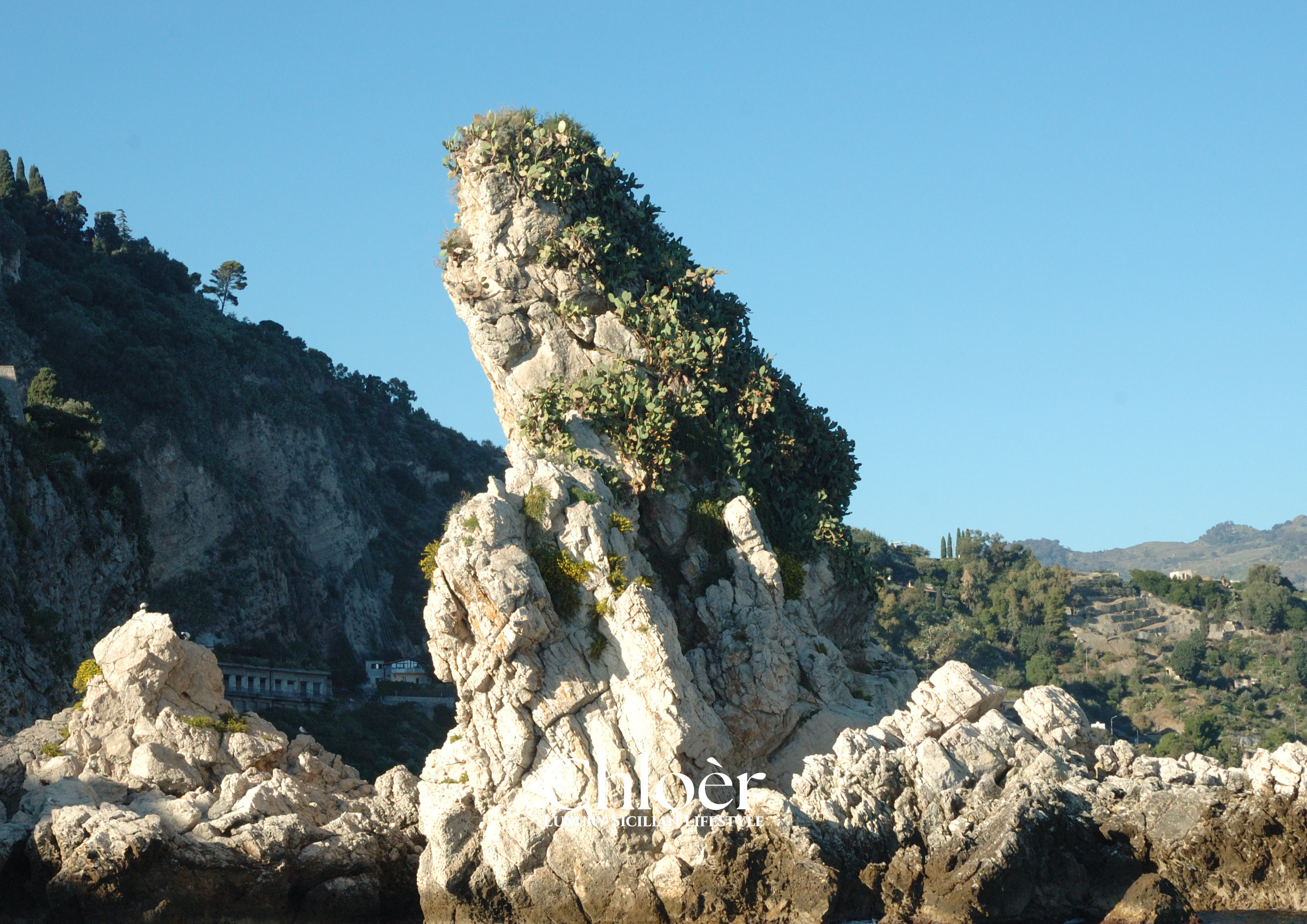 Progetto senza titolo(80).png