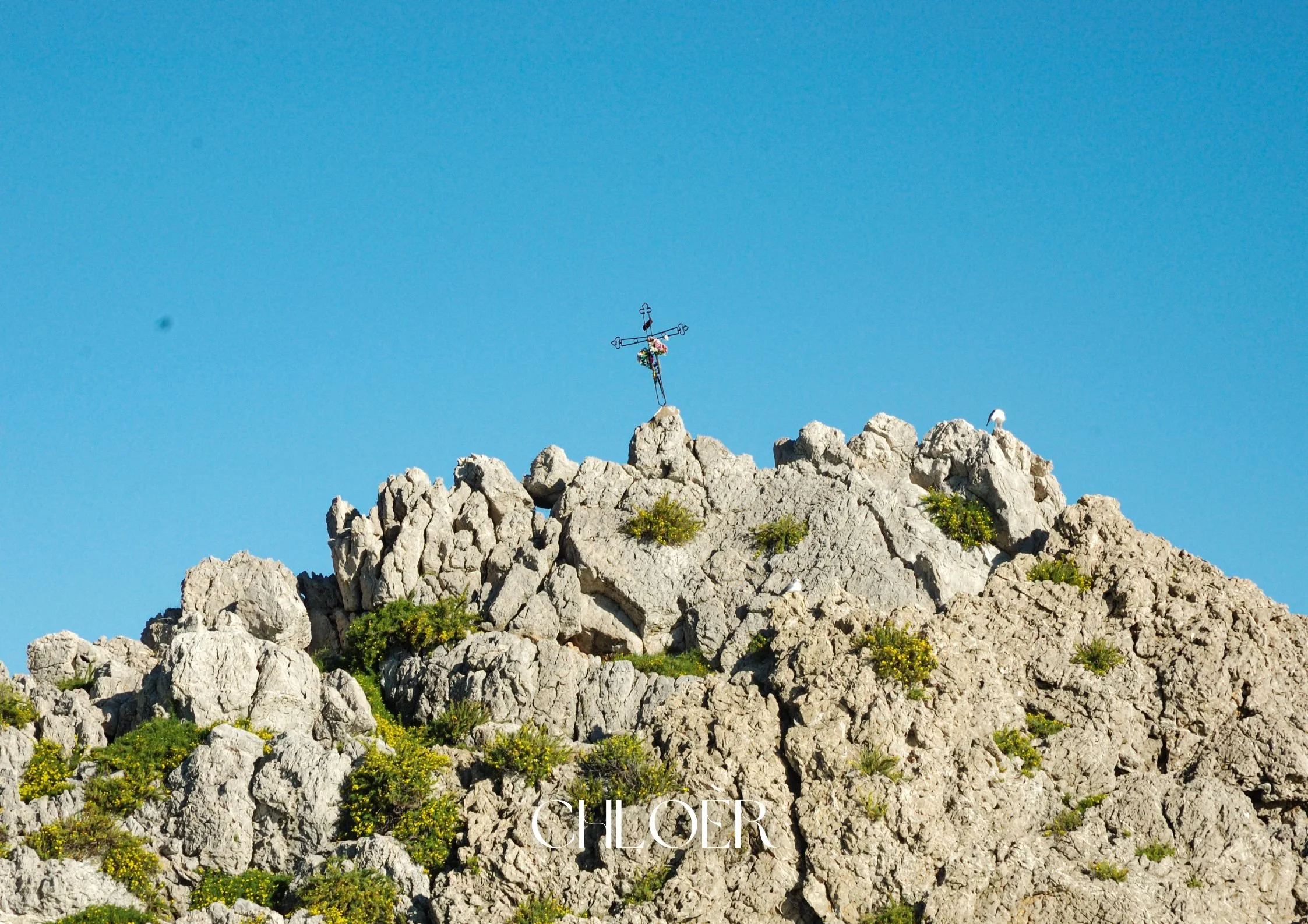 ISOLA BELLA BOAT - 1 HR BOAT TOUR ITINERARY FROM ISOLA BELLA BEACH SMALL GROUP PRIVATE BLUE GROTTO 47 .jpg