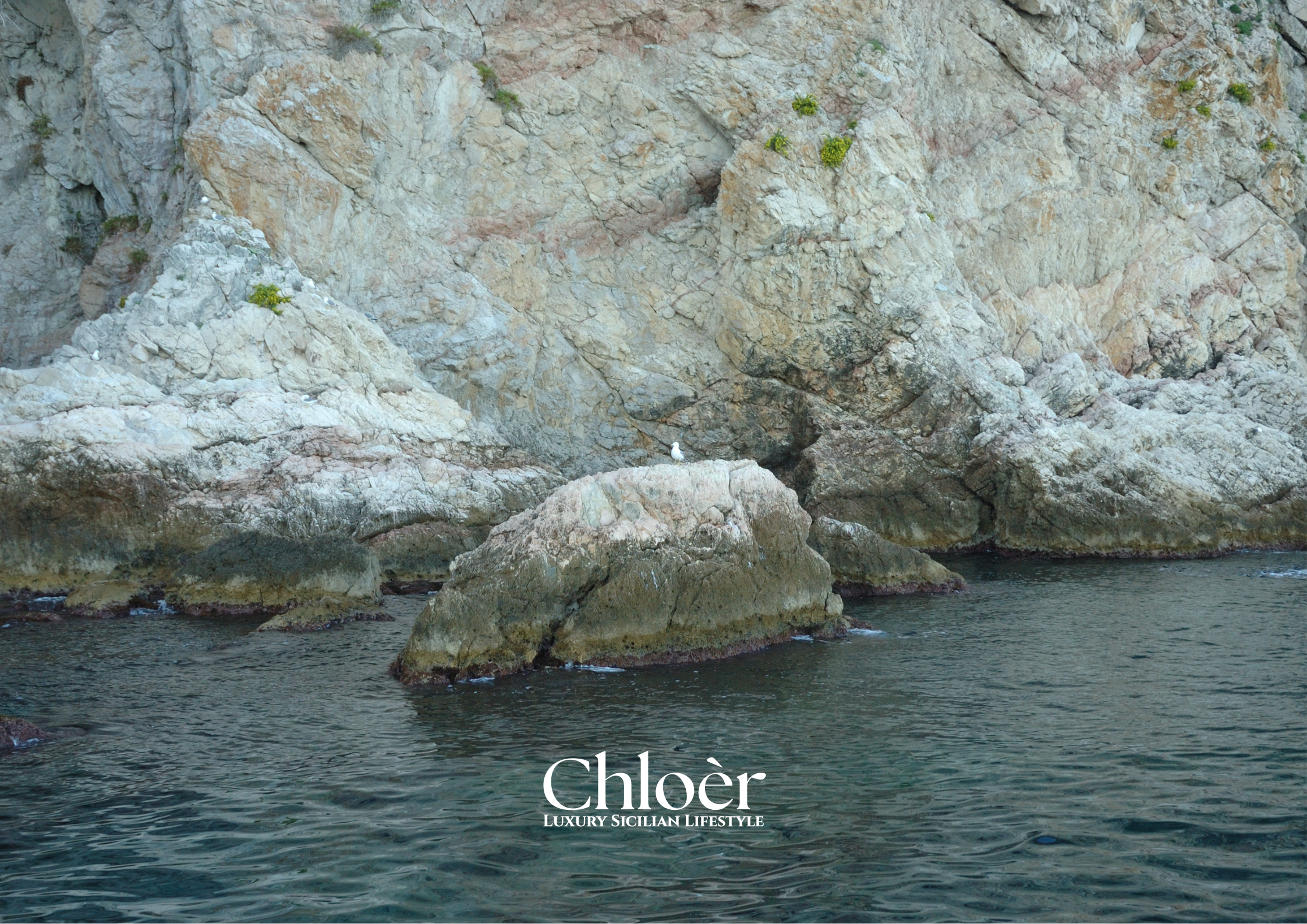 Progetto senza titolo(91).png