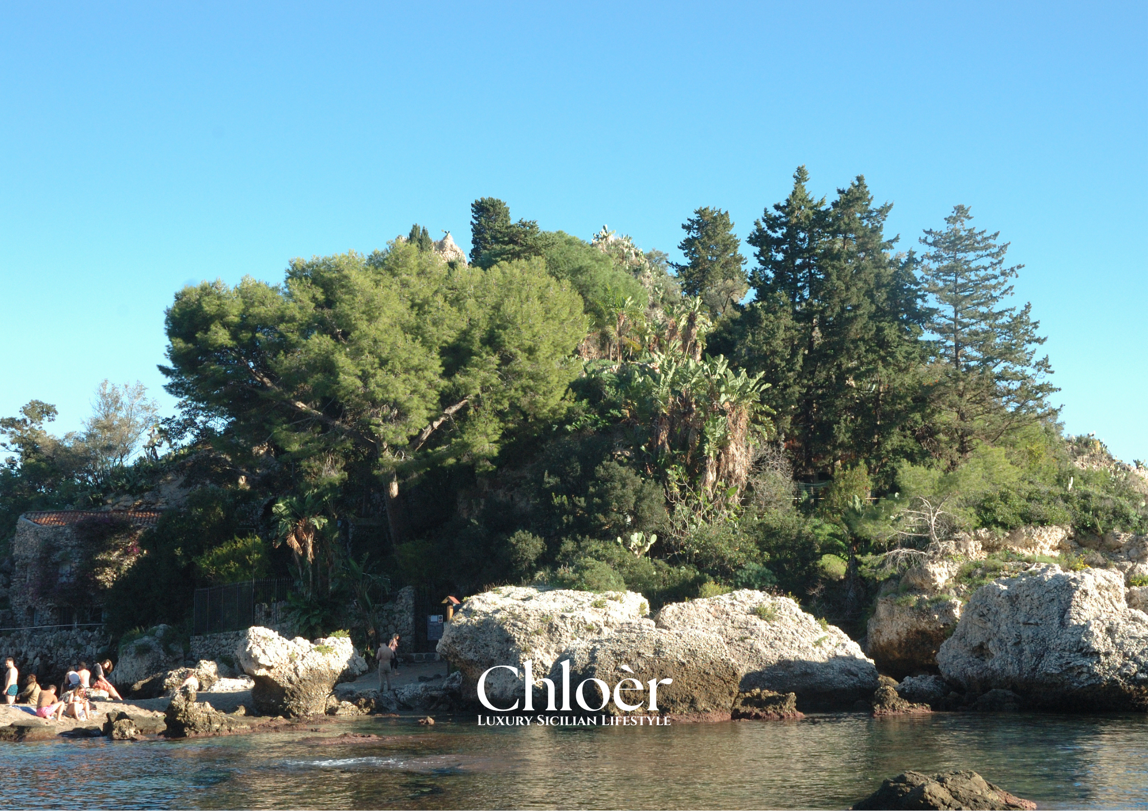 Progetto senza titolo(14).png