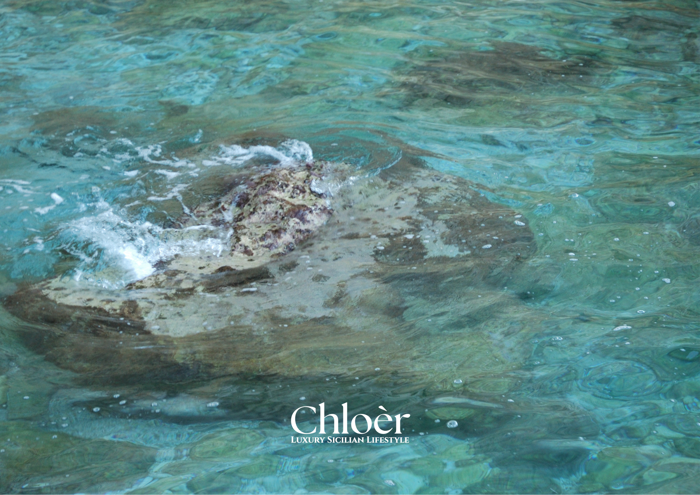 Progetto senza titolo(87).png