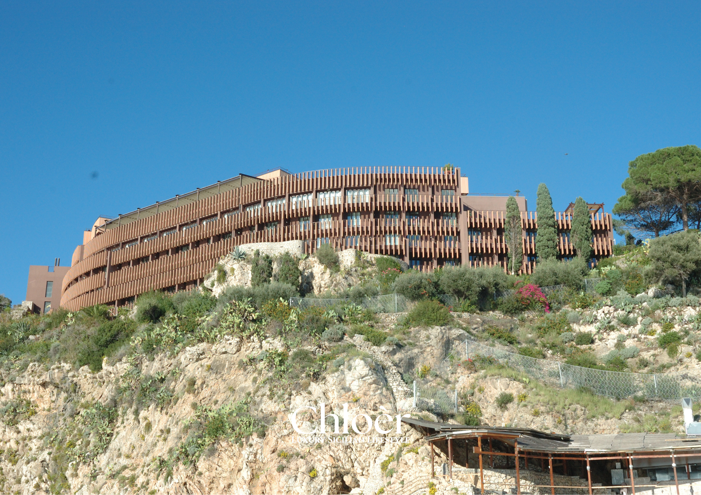 Progetto senza titolo(62).png