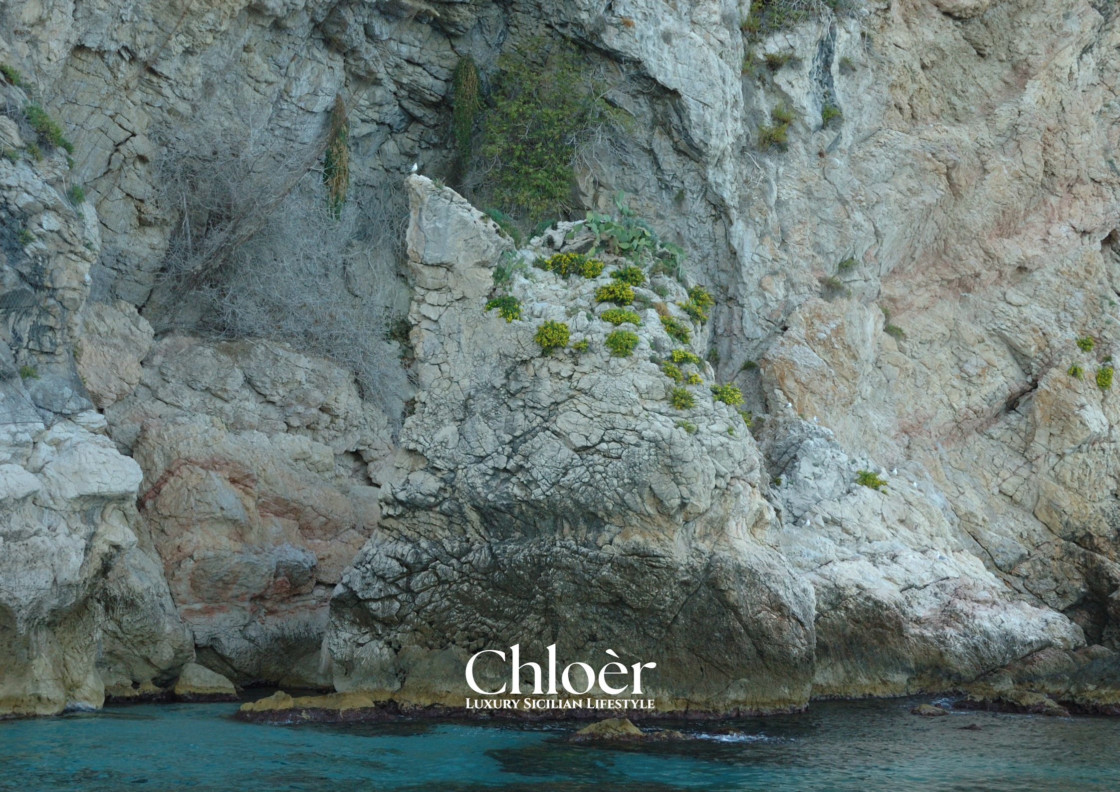 Progetto senza titolo(89).png