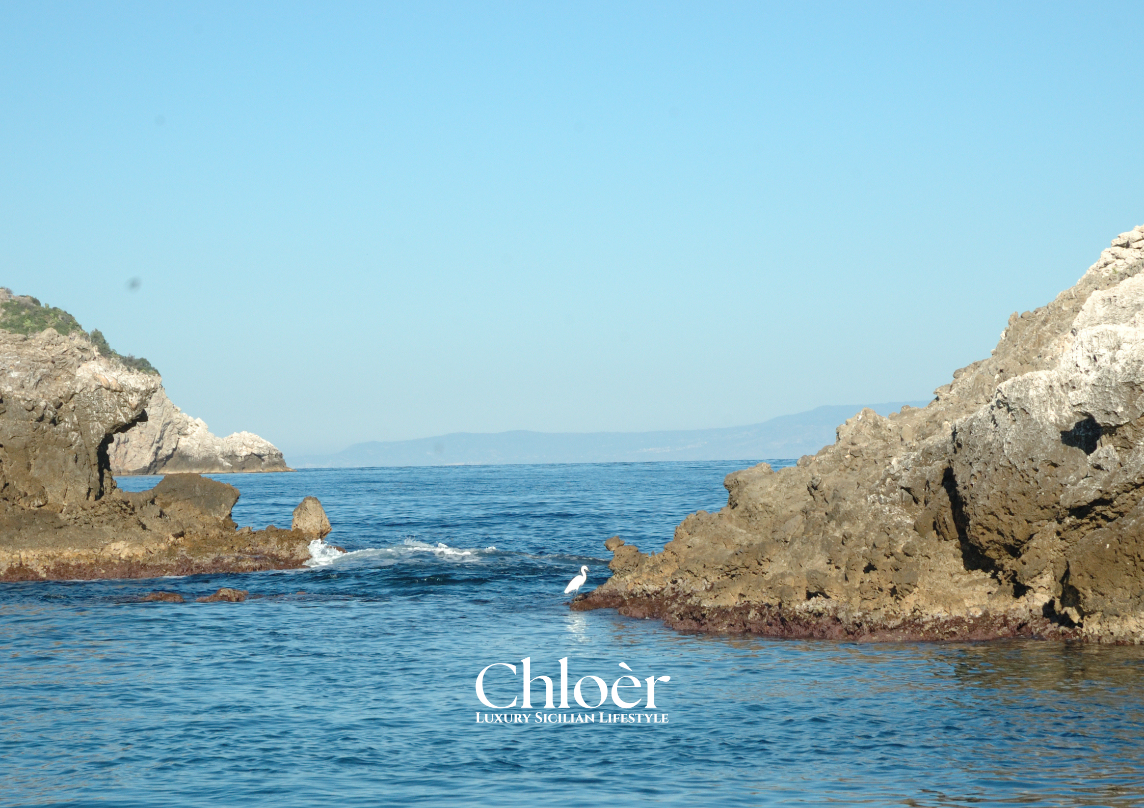 Progetto senza titolo(40).png