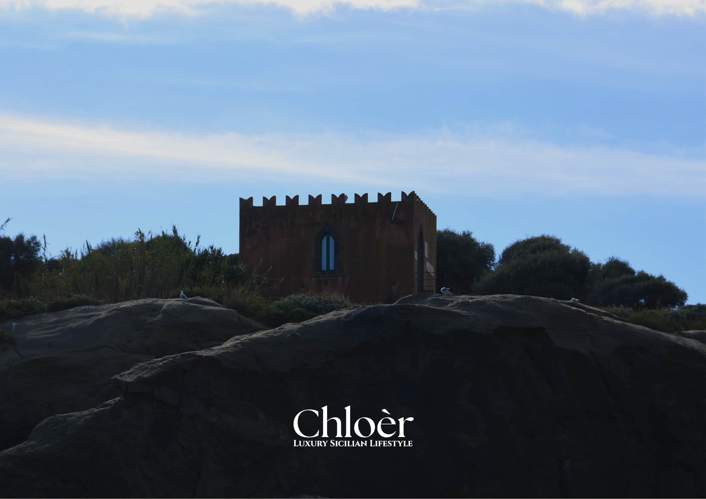 Progetto senza titolo(2).png