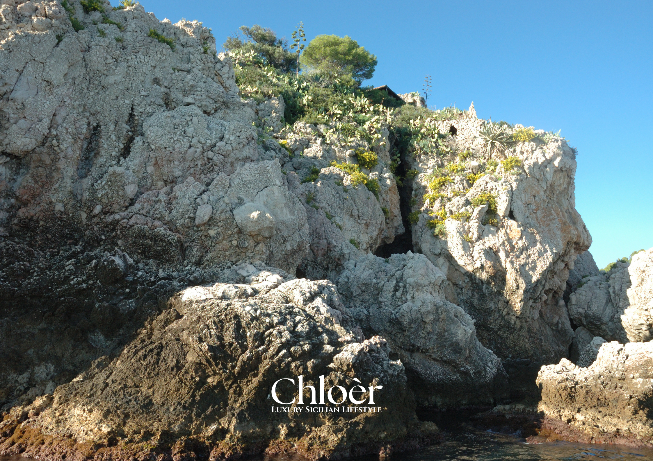 Progetto senza titolo(21).png